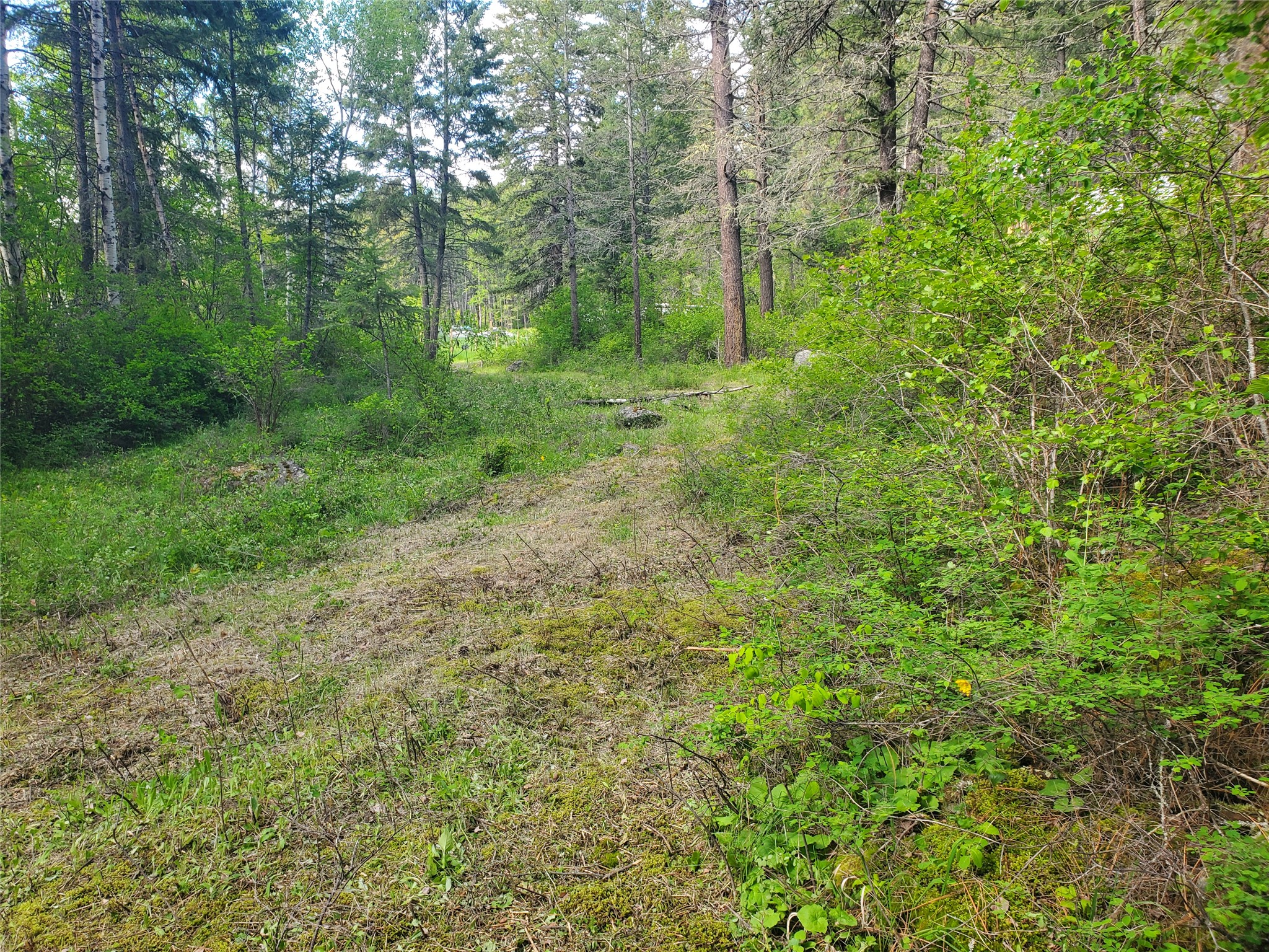9127 Mt Highway 35 Property Photo 11