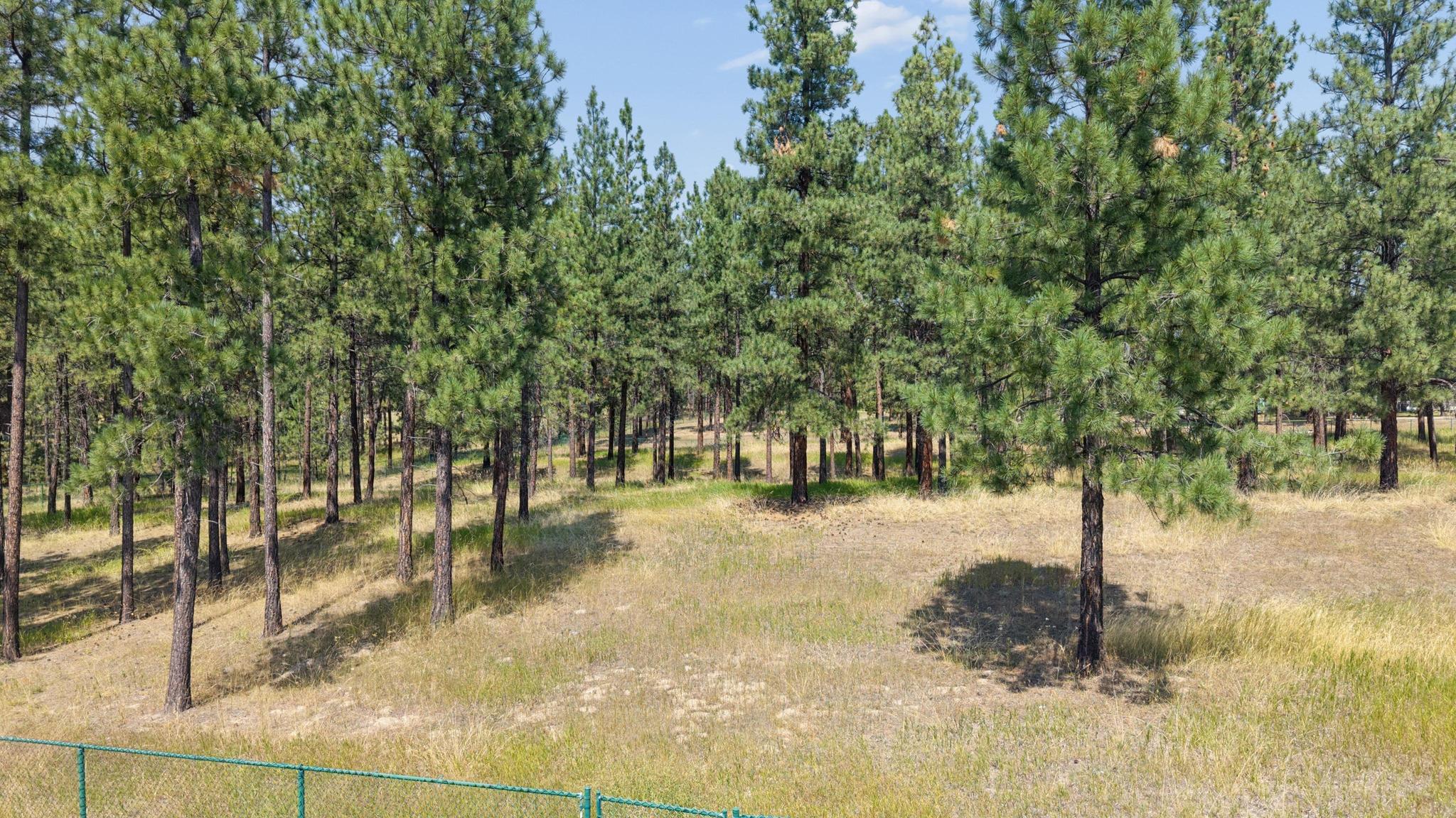 Nhn Sherman Drive Property Photo 3