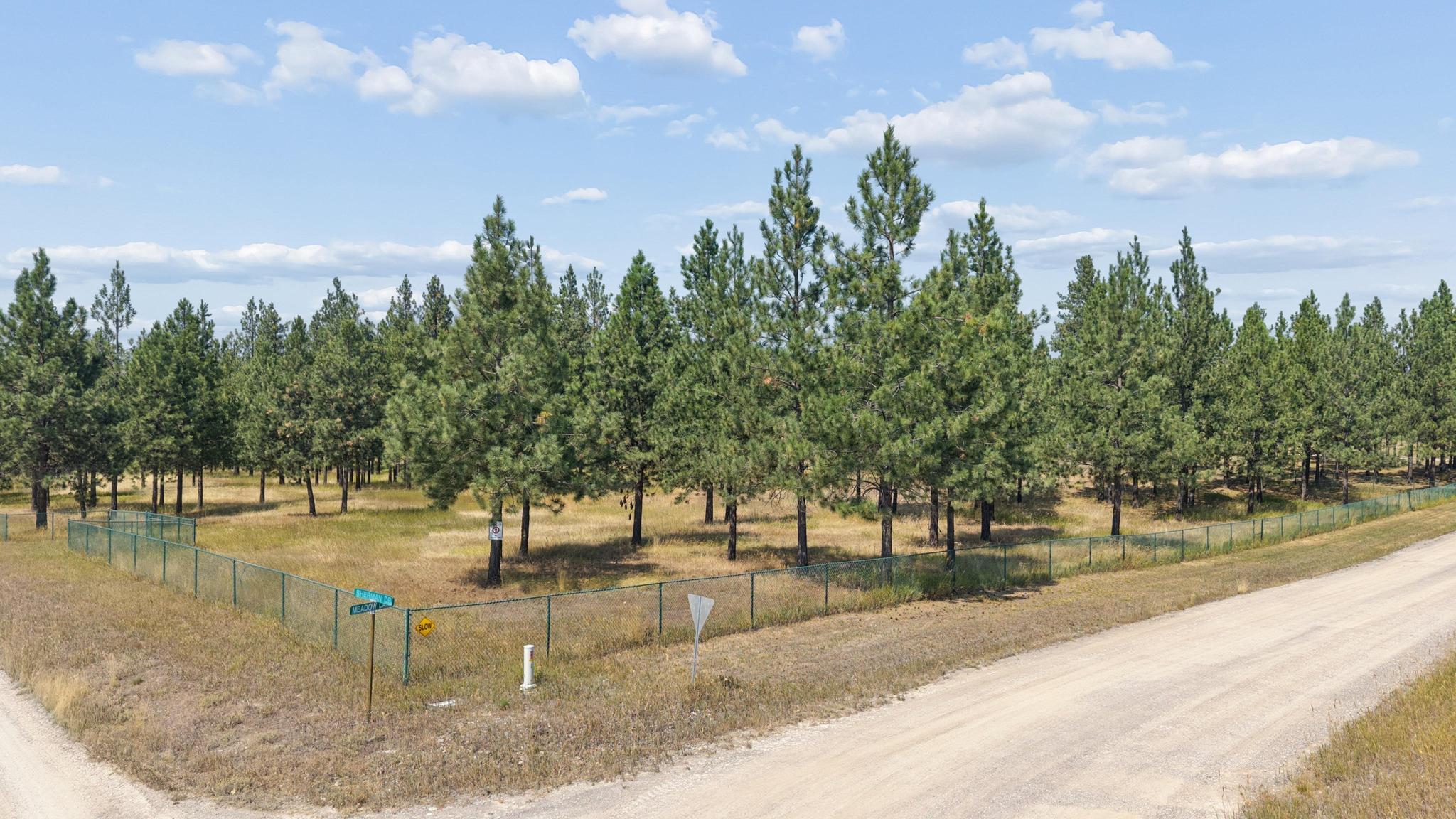 Nhn Sherman Drive Property Photo 5