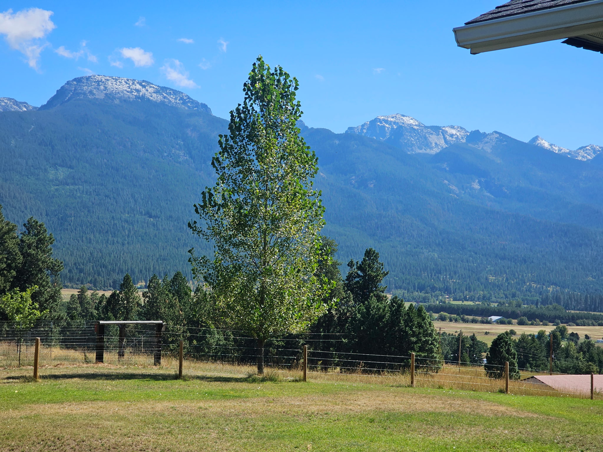 34052 Moraine Lane Property Photo 16