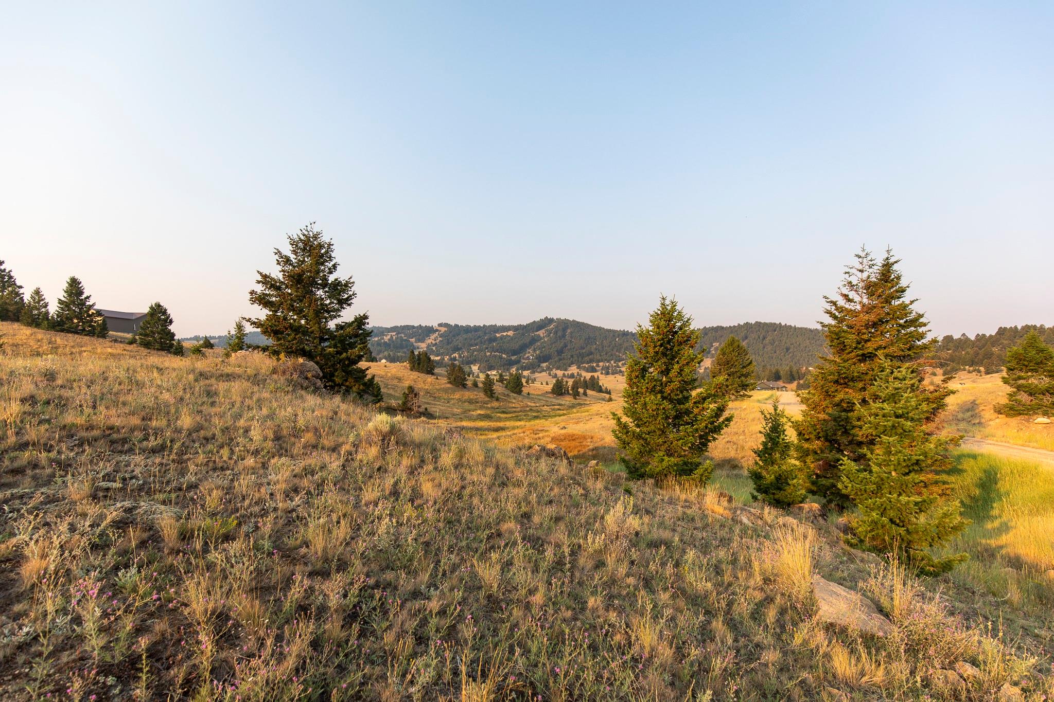 Lot 21 Ski Area Loop Property Photo 3