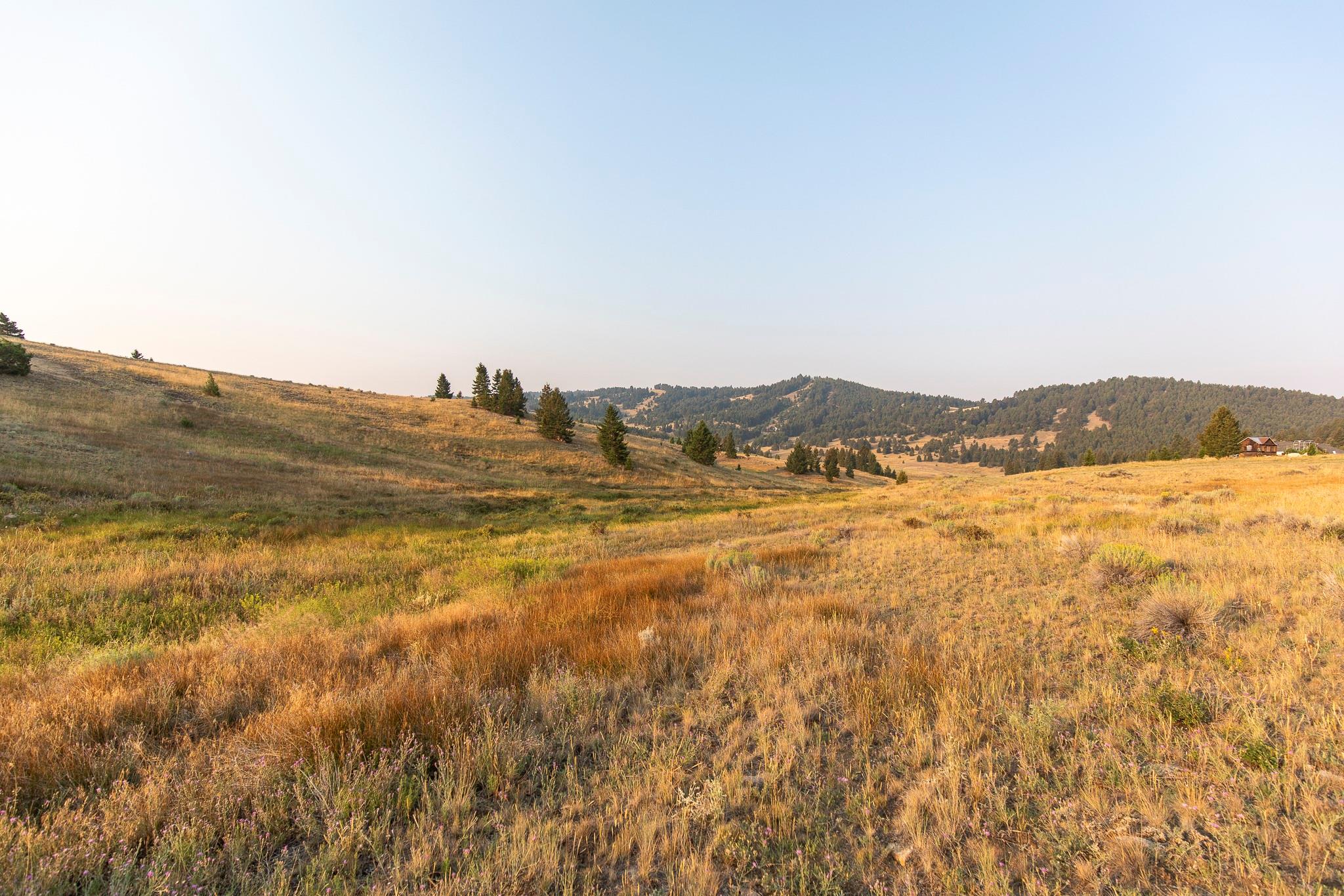 Lot 21 Ski Area Loop Property Photo 8
