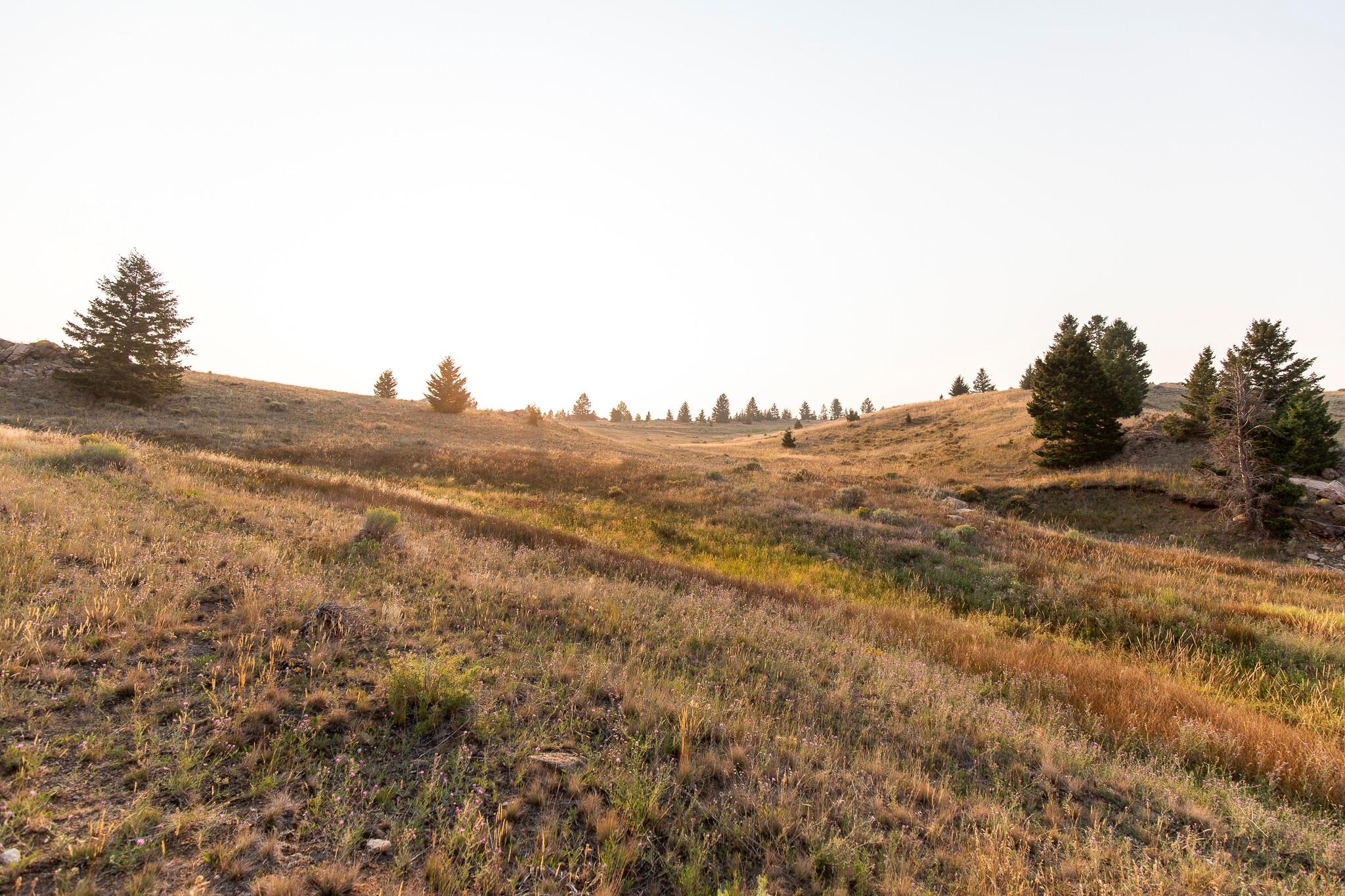 Lot 21 Ski Area Loop Property Photo 9