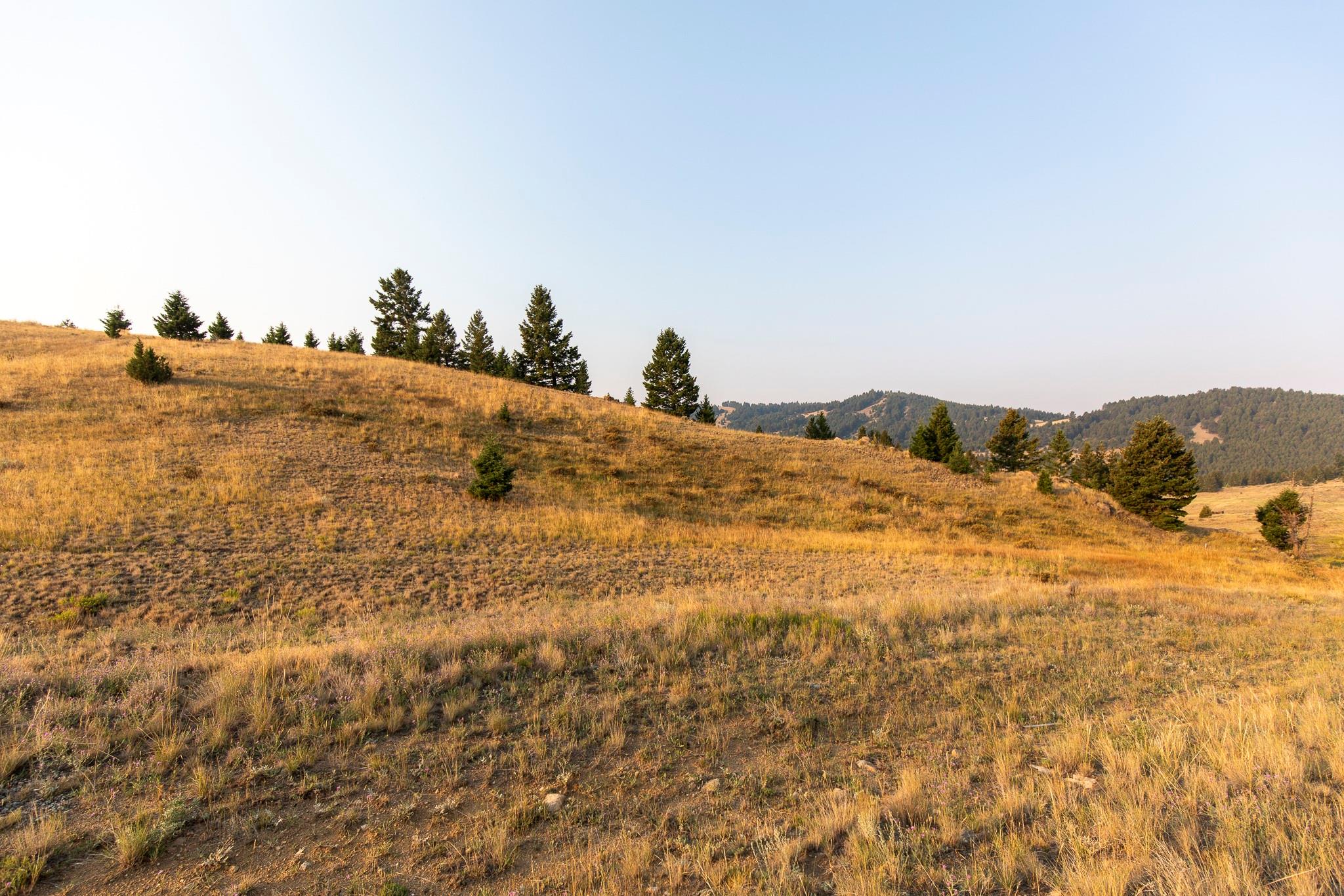 Lot 21 Ski Area Loop Property Photo 19