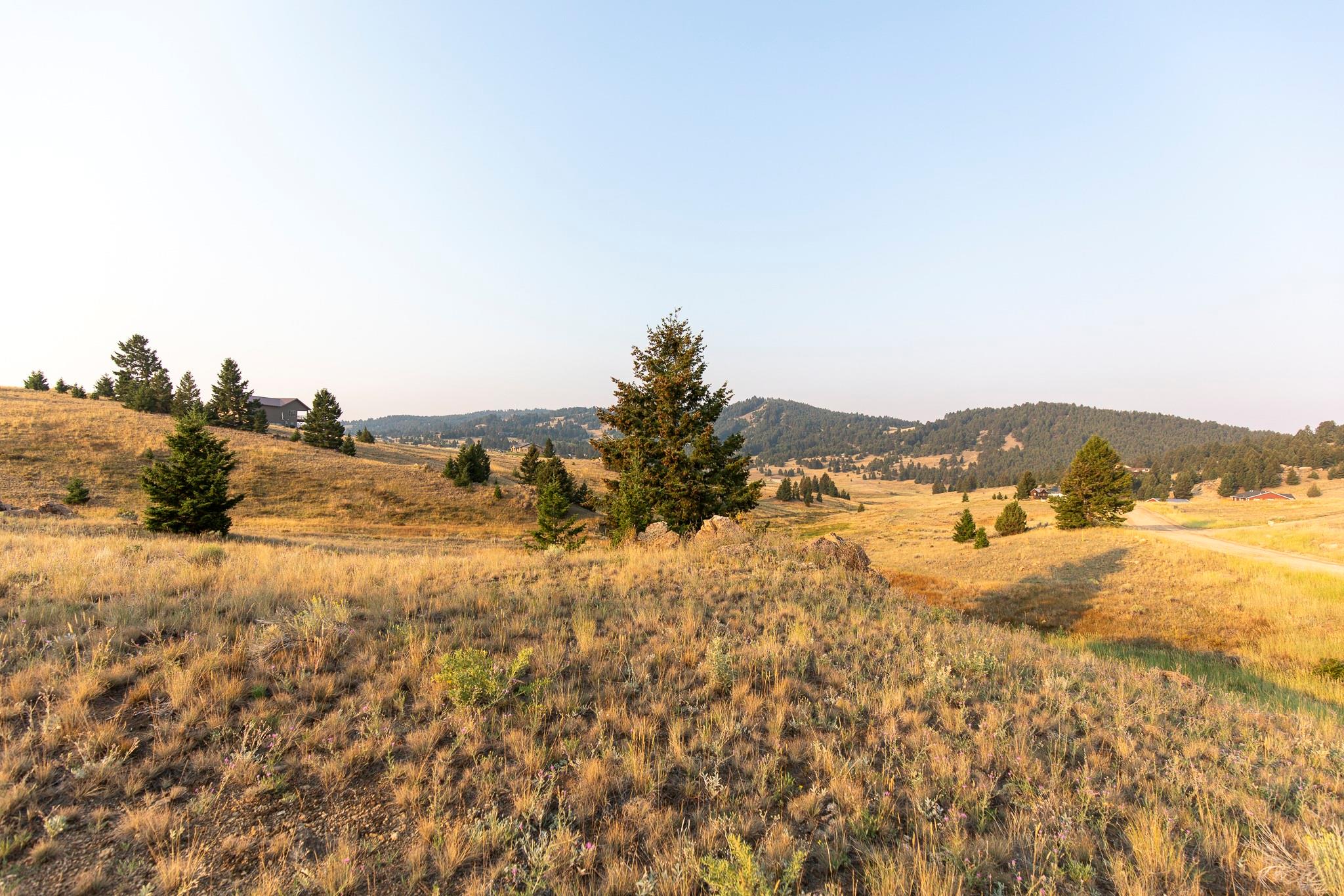 Lot 21 Ski Area Loop Property Photo 22