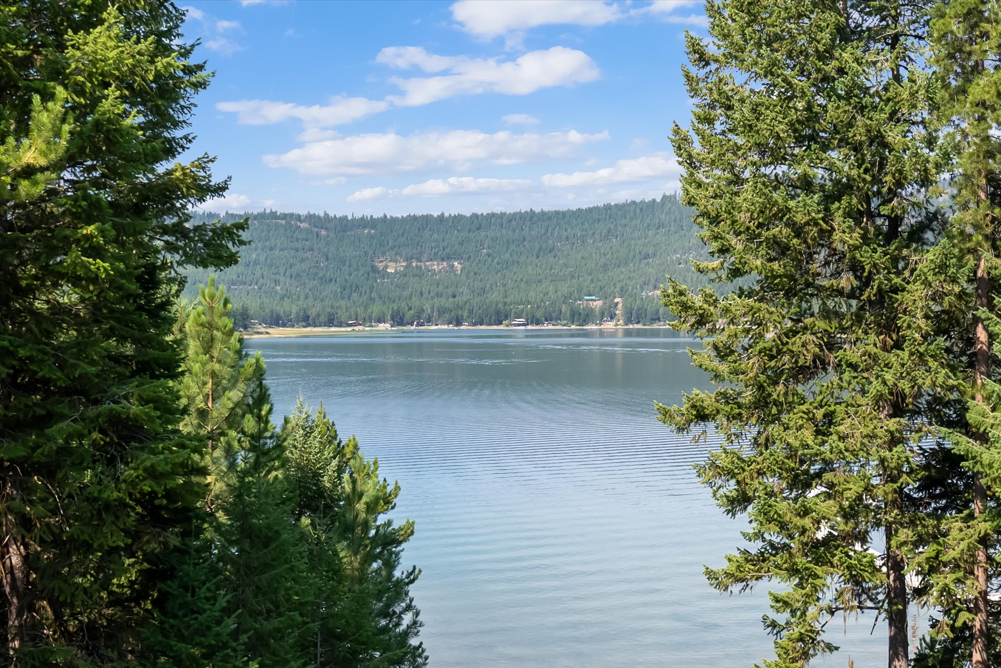 20 Bitterroot Cove Court Property Photo 9