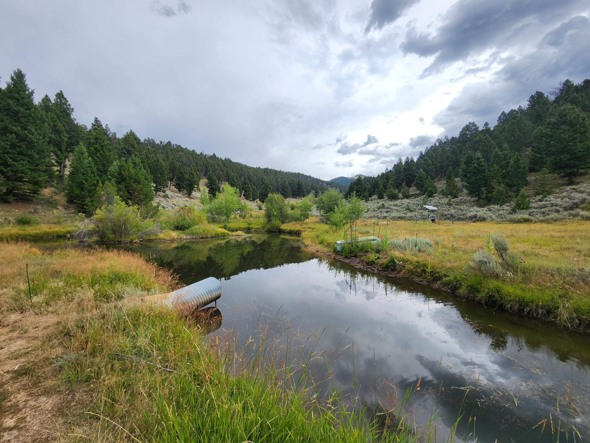 Tbd Big Limber Gulch Property Photo 2