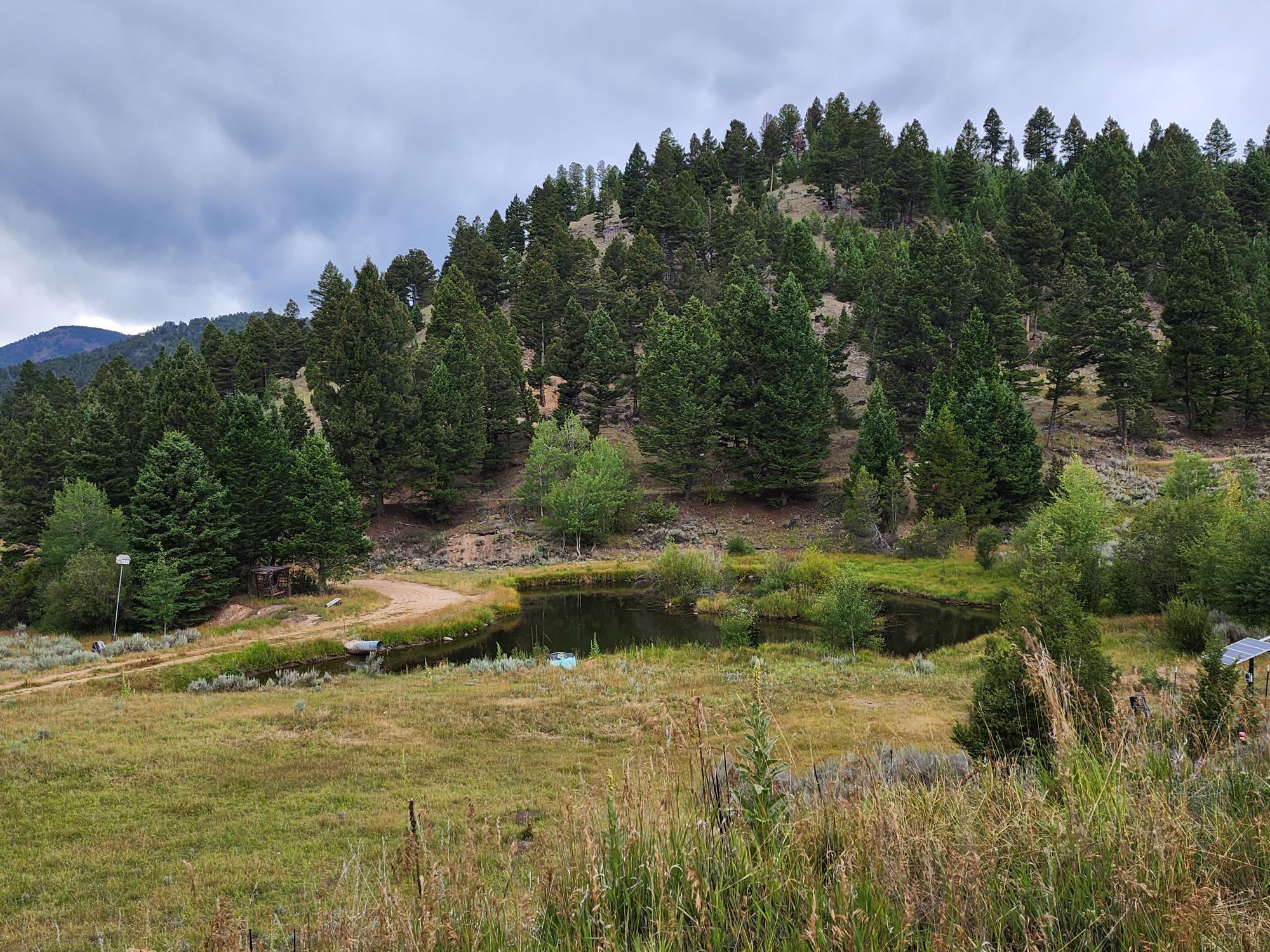 Tbd Big Limber Gulch Property Photo 3