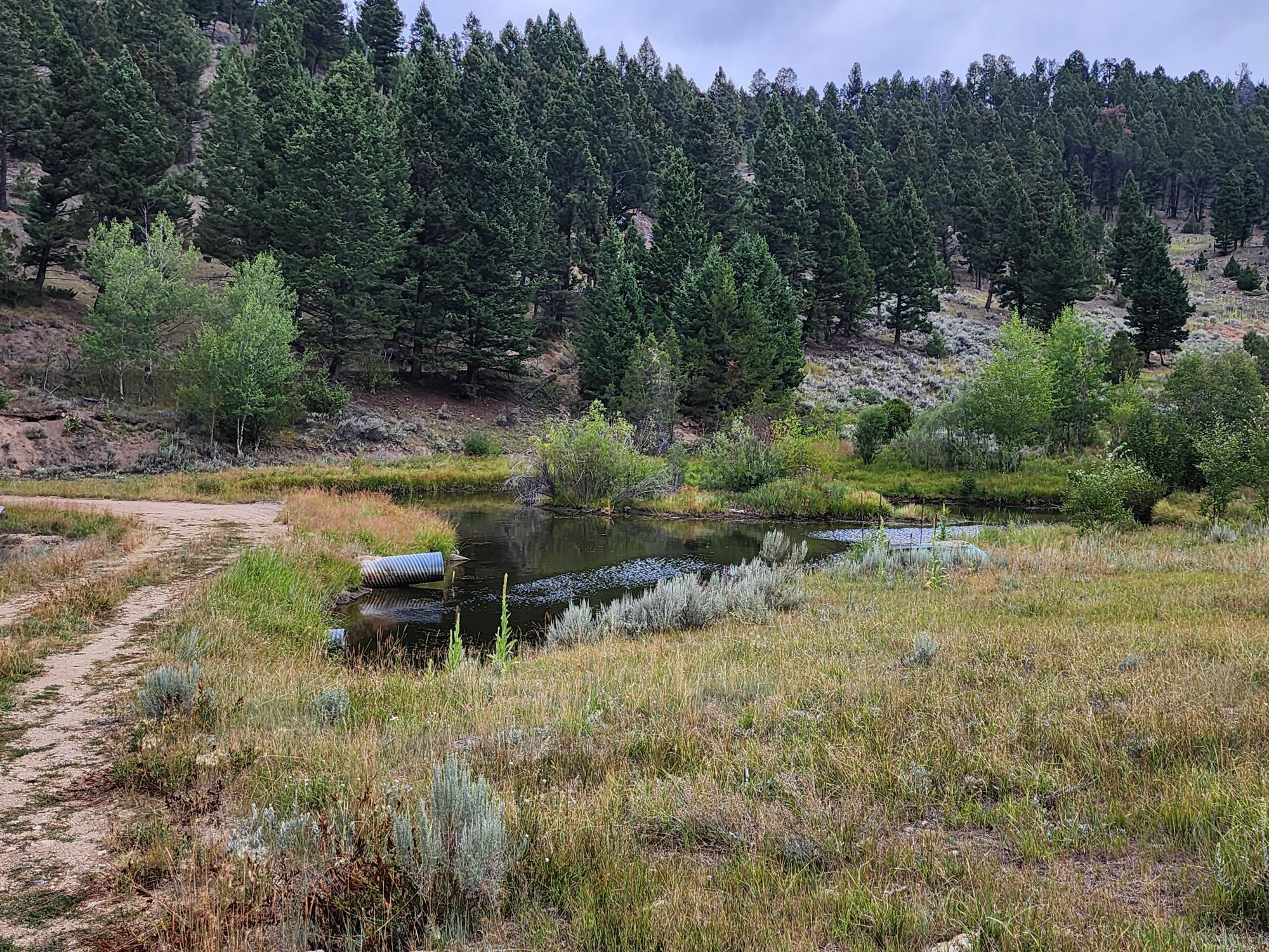Tbd Big Limber Gulch Property Photo 4
