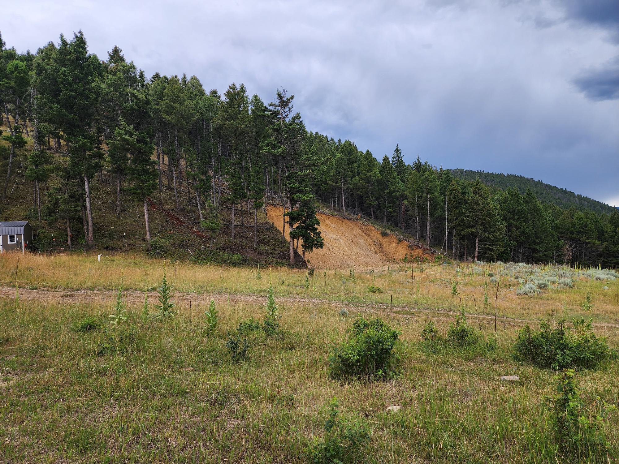 Tbd Big Limber Gulch Property Photo 5