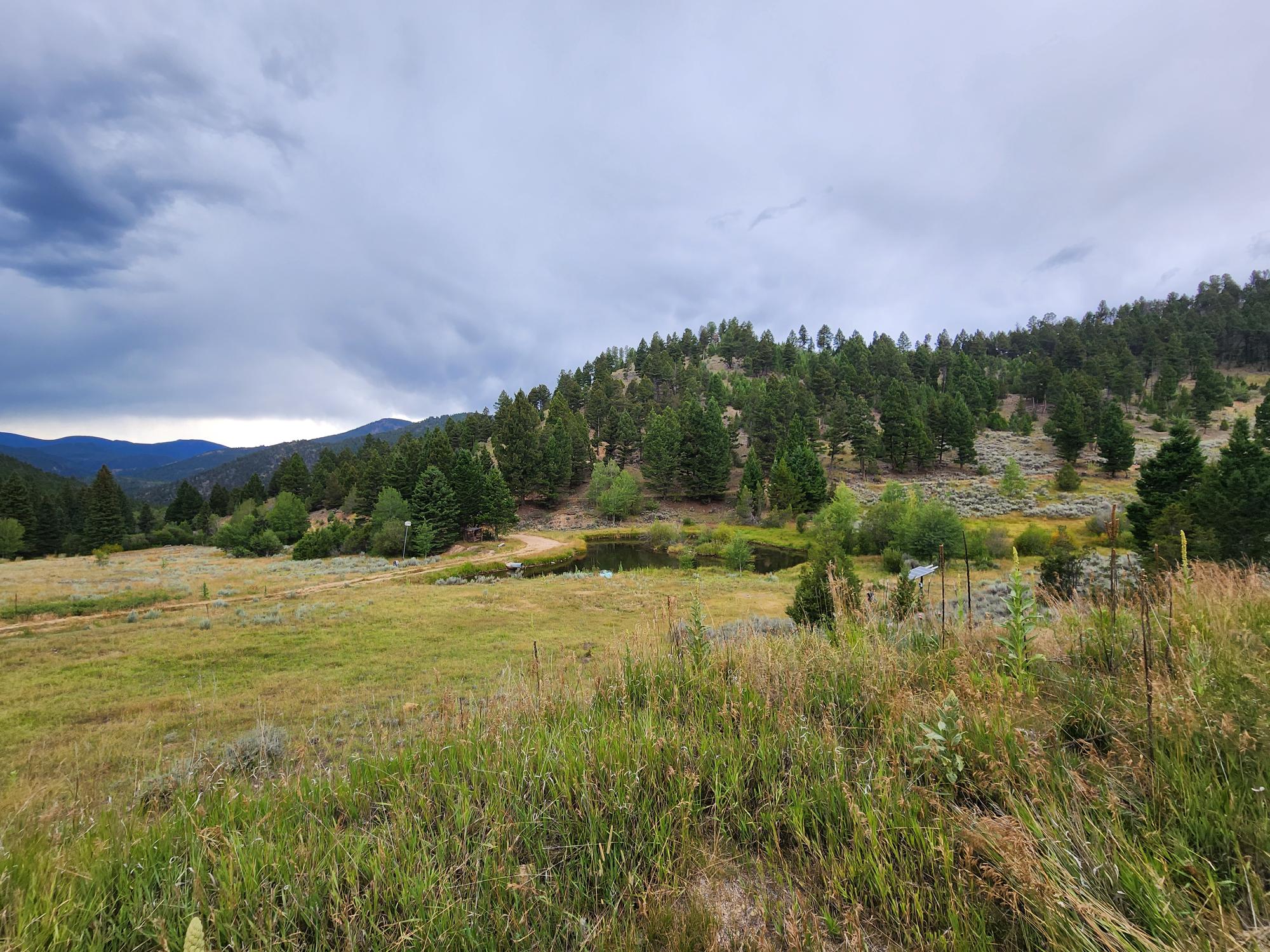 Tbd Big Limber Gulch Property Photo 7