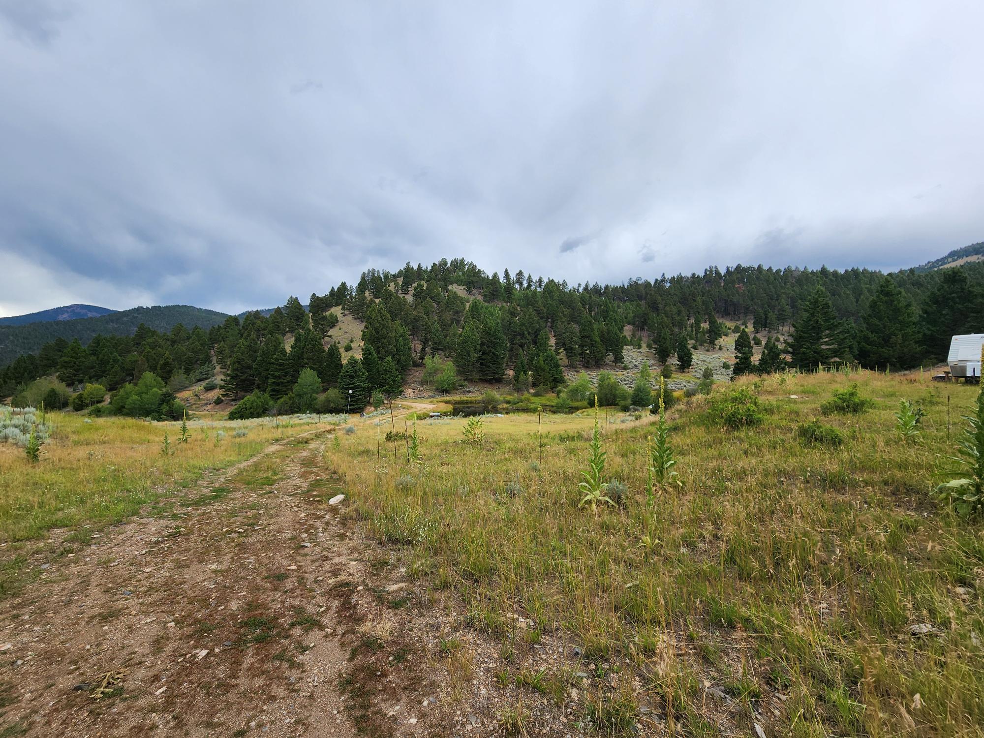 Tbd Big Limber Gulch Property Photo 8