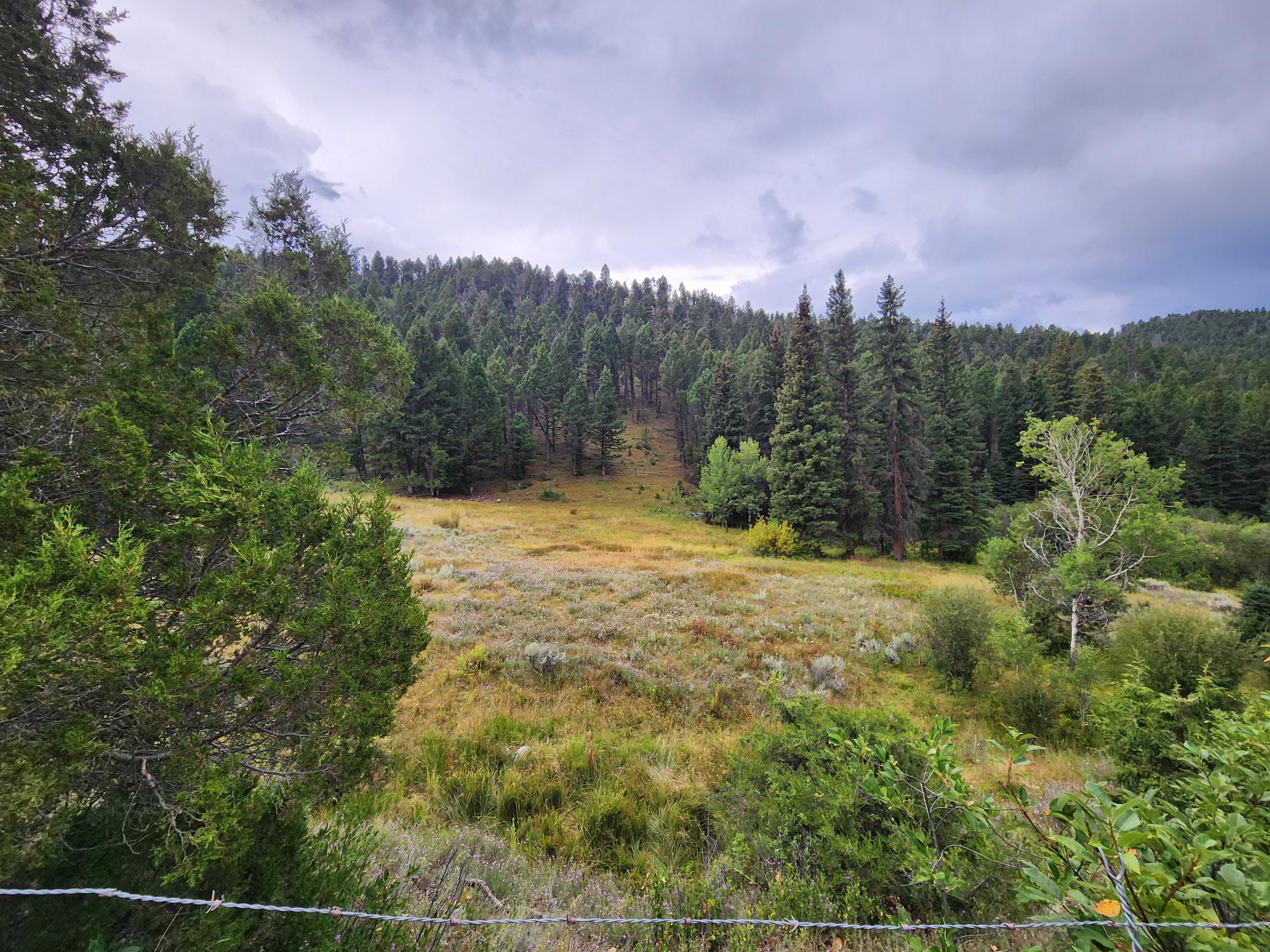 Tbd Big Limber Gulch Property Photo 10
