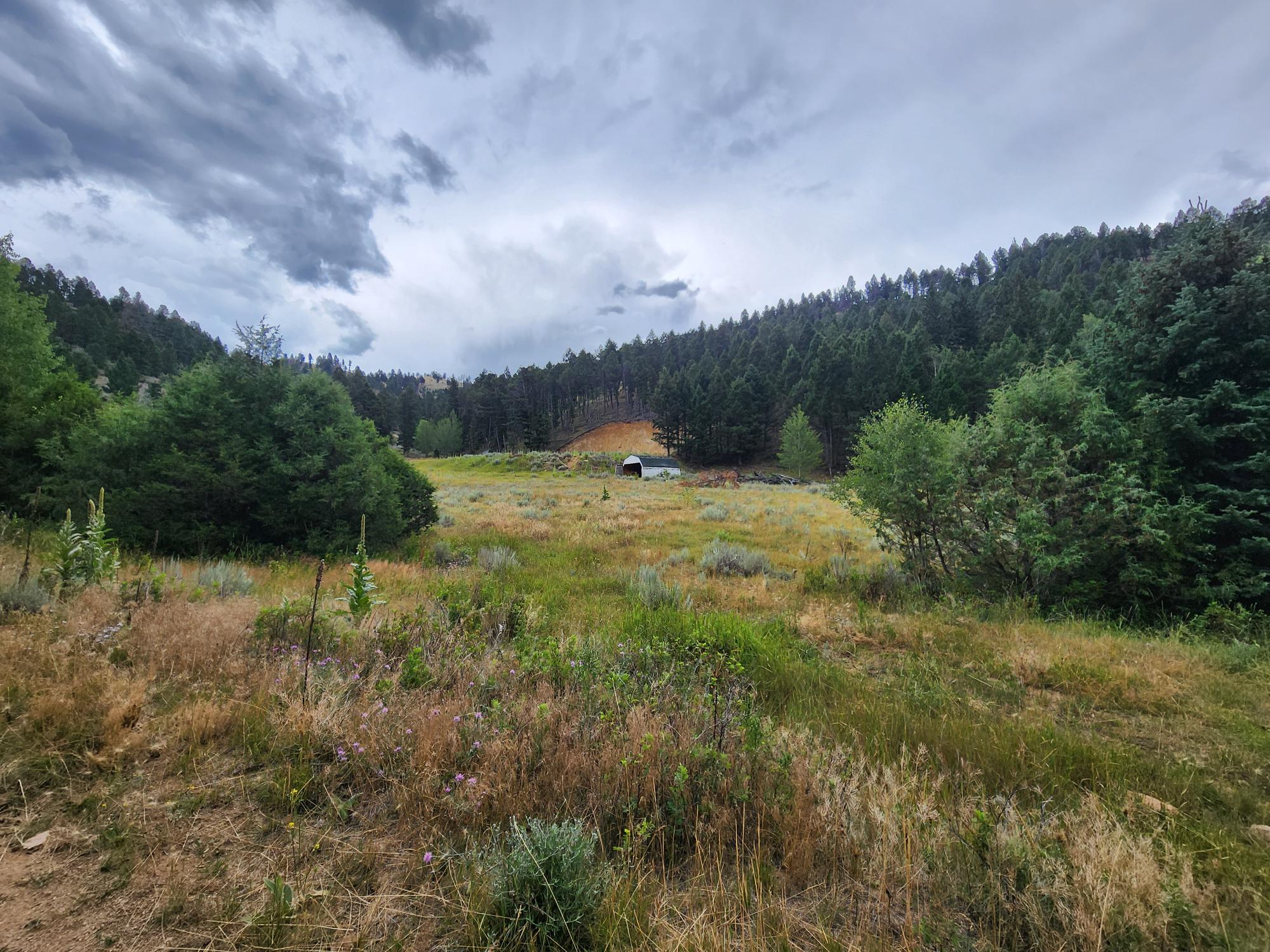 Tbd Big Limber Gulch Property Photo 12