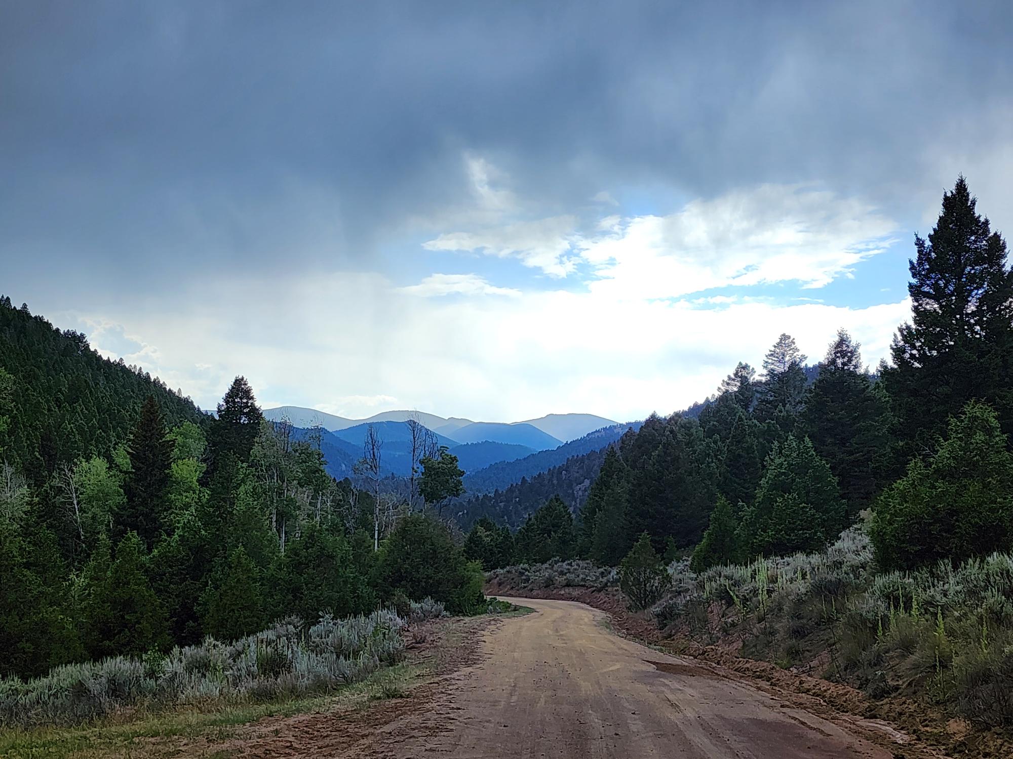 Tbd Big Limber Gulch Property Photo 14