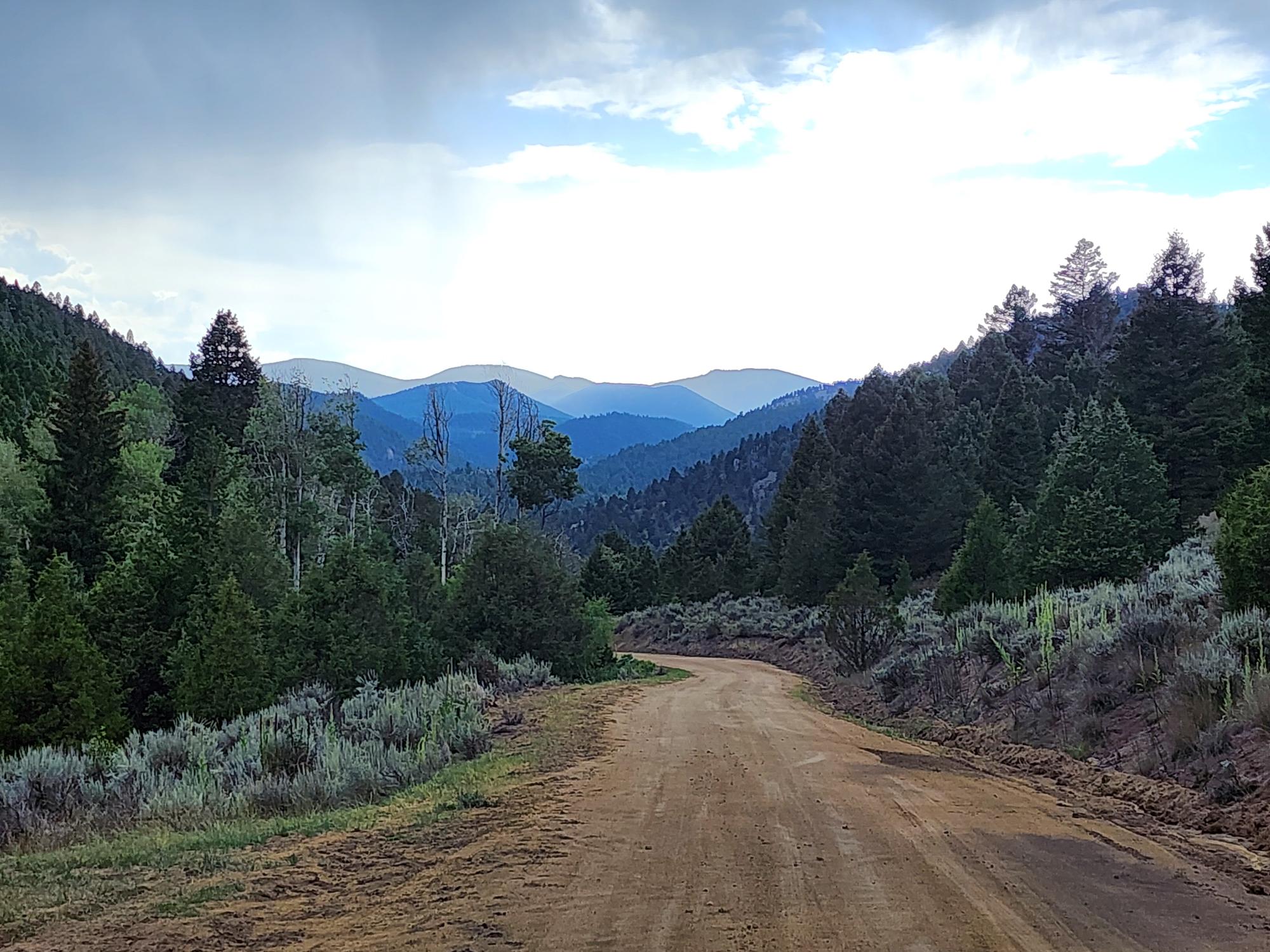 Tbd Big Limber Gulch Property Photo 15
