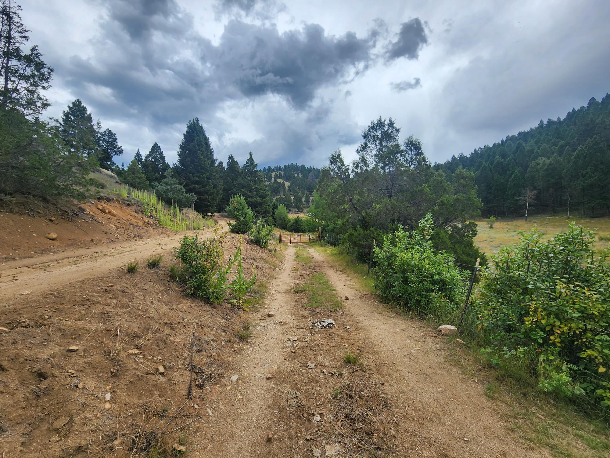 Tbd Big Limber Gulch Property Photo 20