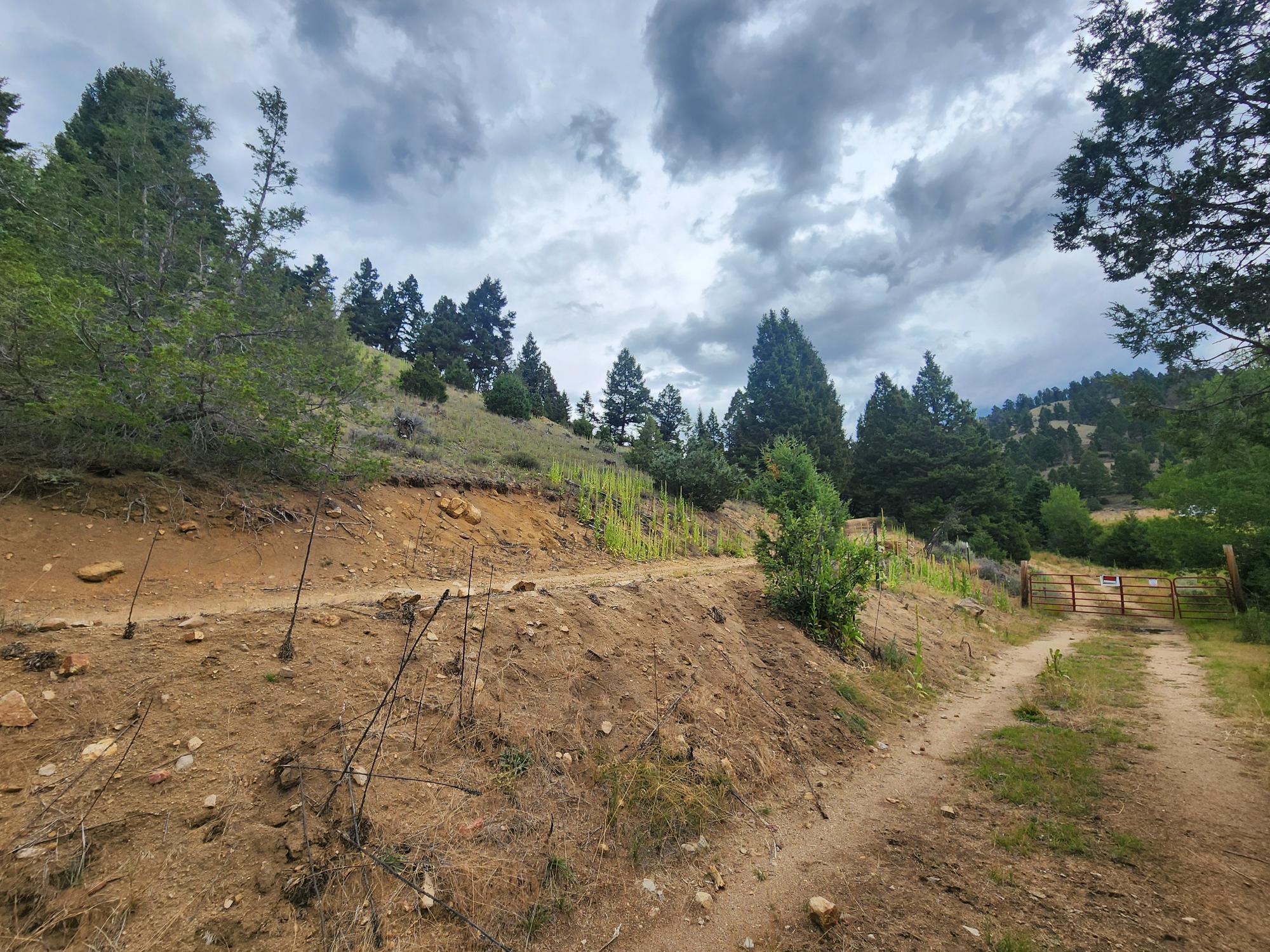 Tbd Big Limber Gulch Property Photo 21