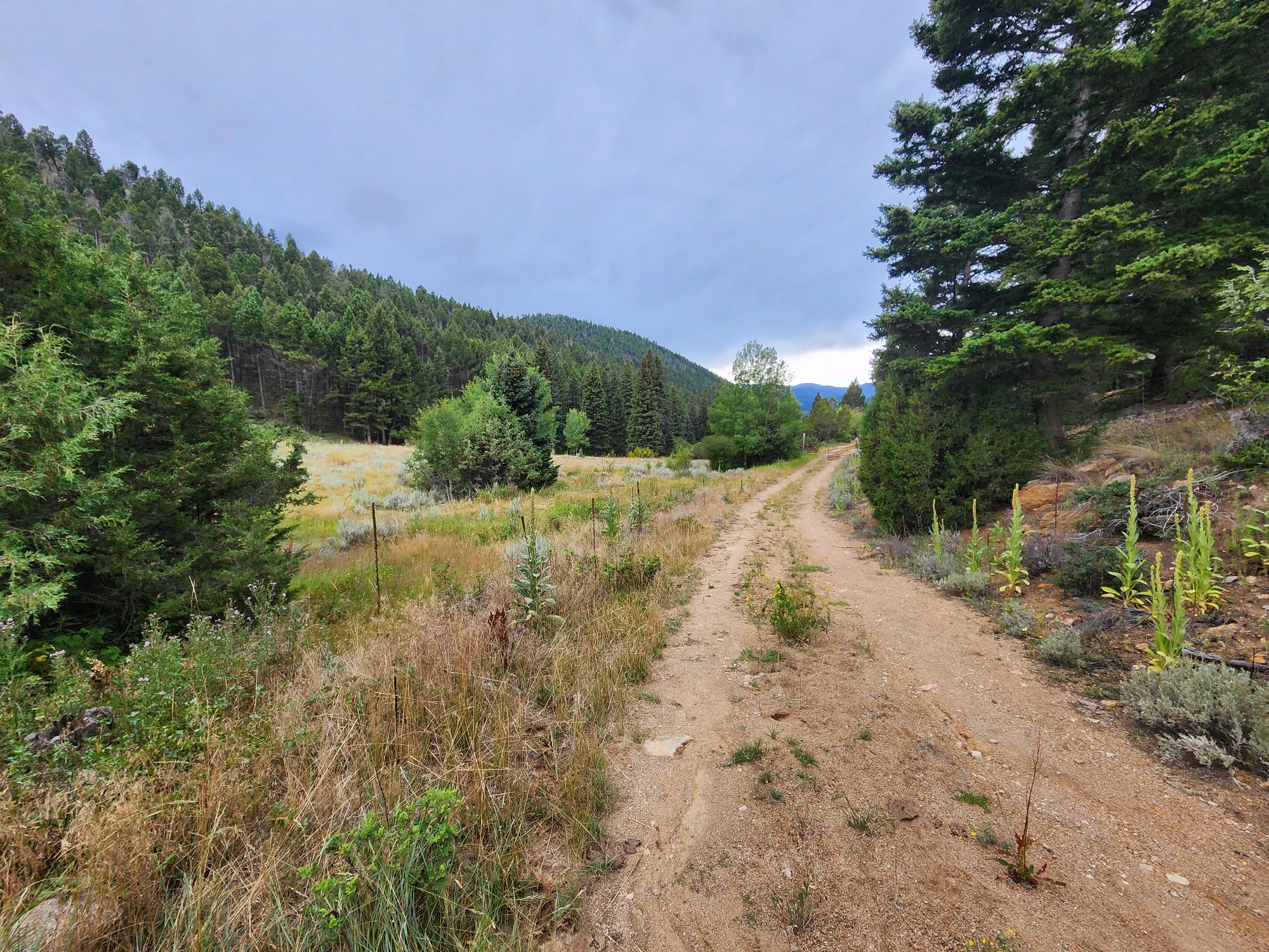 Tbd Big Limber Gulch Property Photo 22