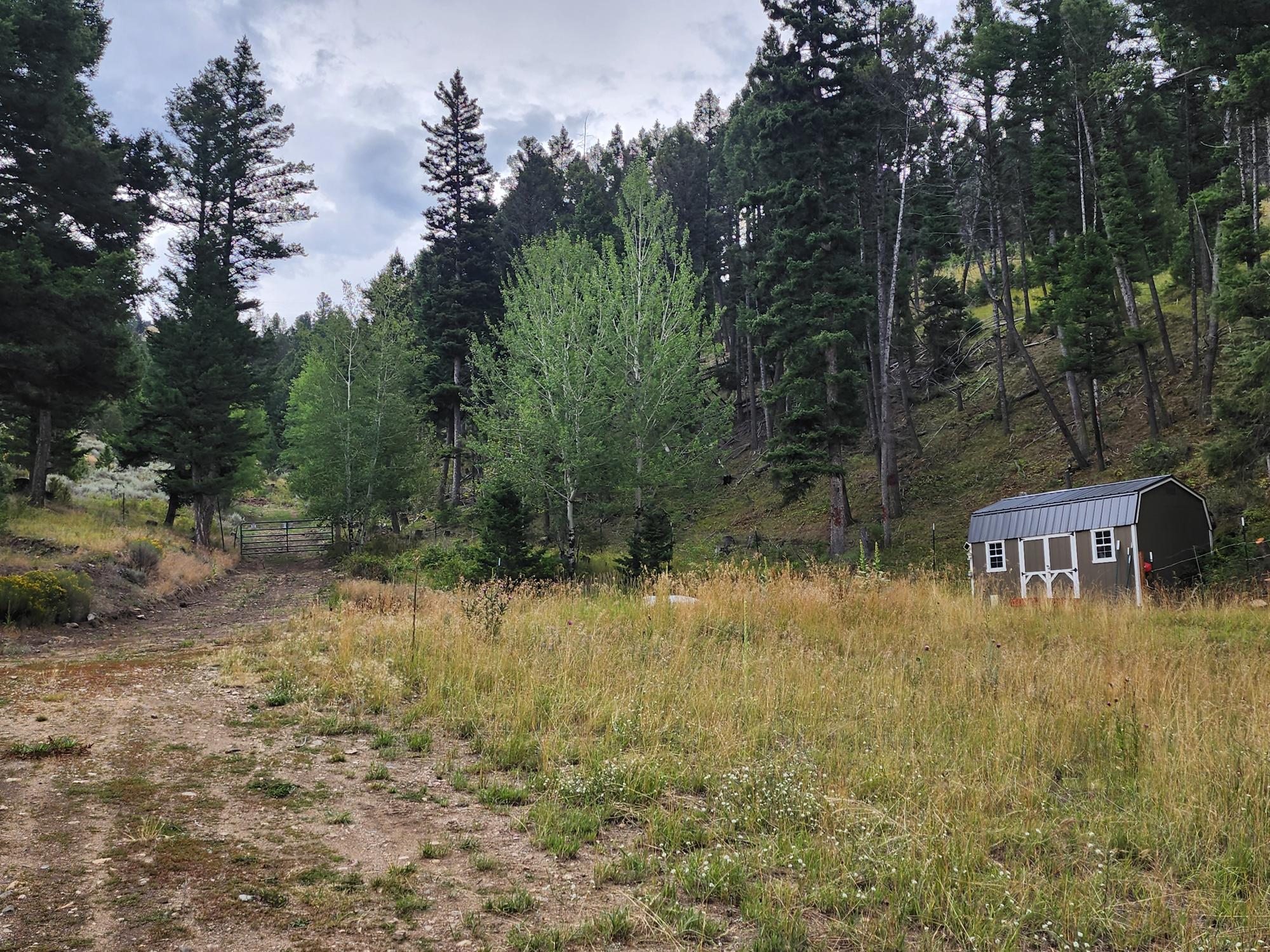 Tbd Big Limber Gulch Property Photo 25