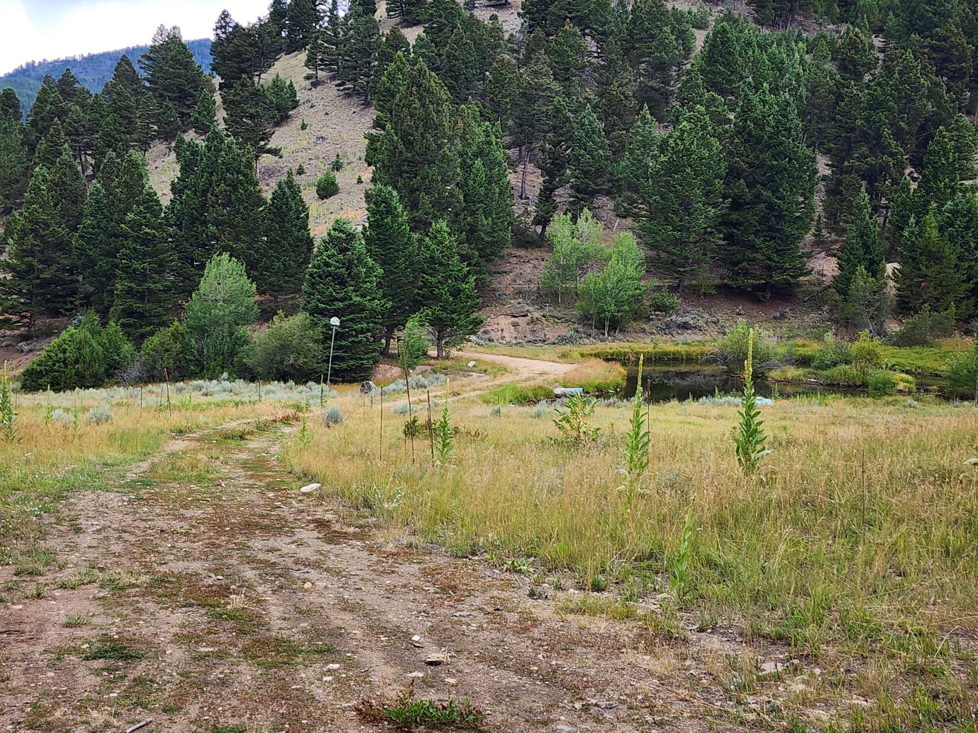 Tbd Big Limber Gulch Property Photo 27