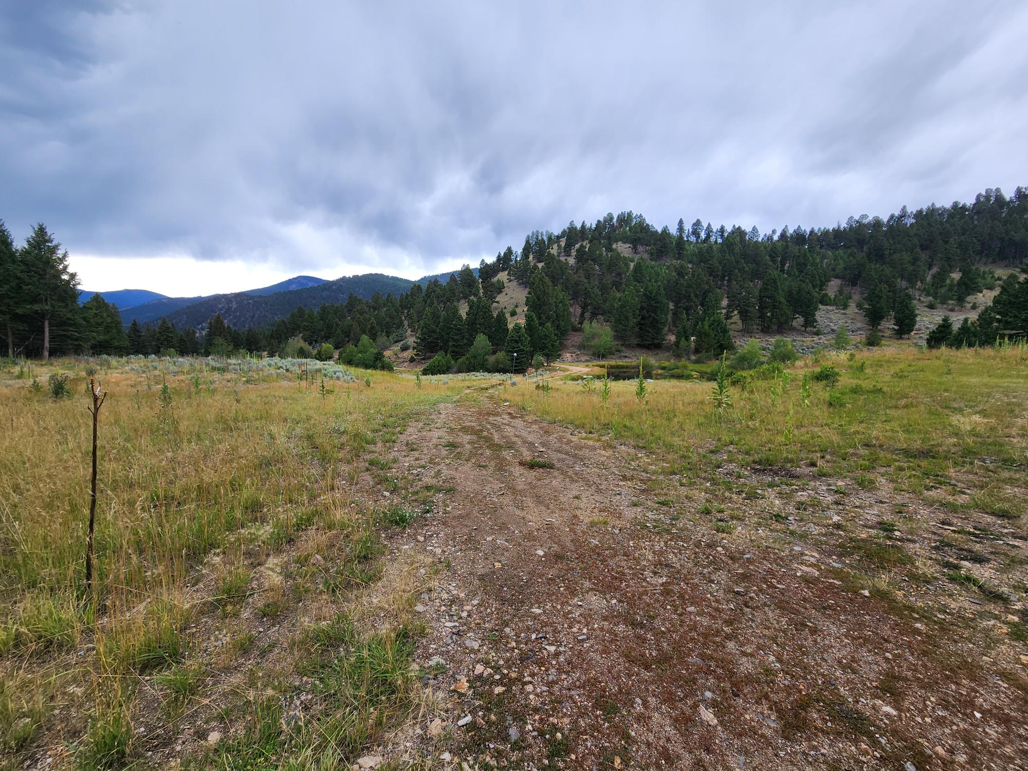 Tbd Big Limber Gulch Property Photo 28