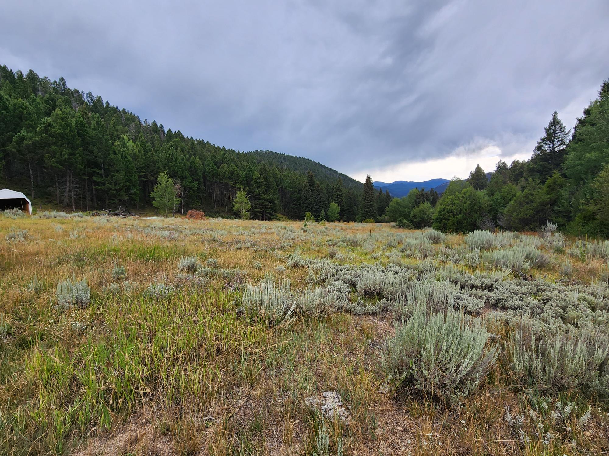 Tbd Big Limber Gulch Property Photo 29