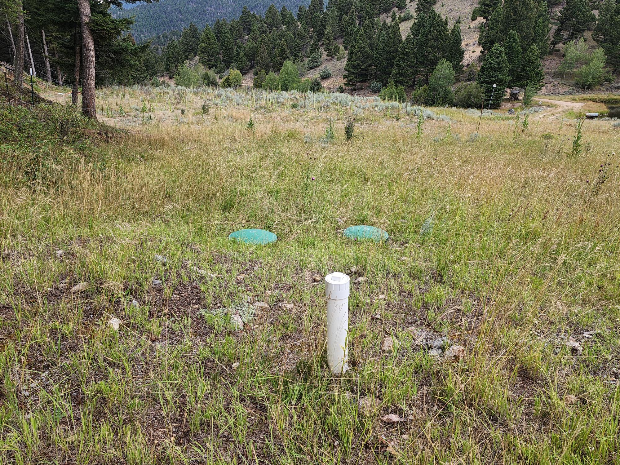 Tbd Big Limber Gulch Property Photo 32