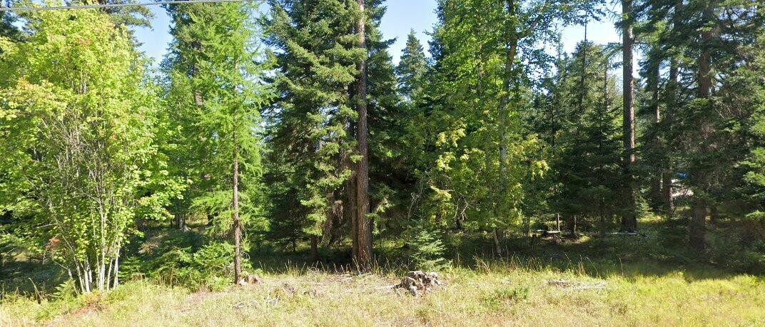 595 Wapiti Lane Property Photo 1