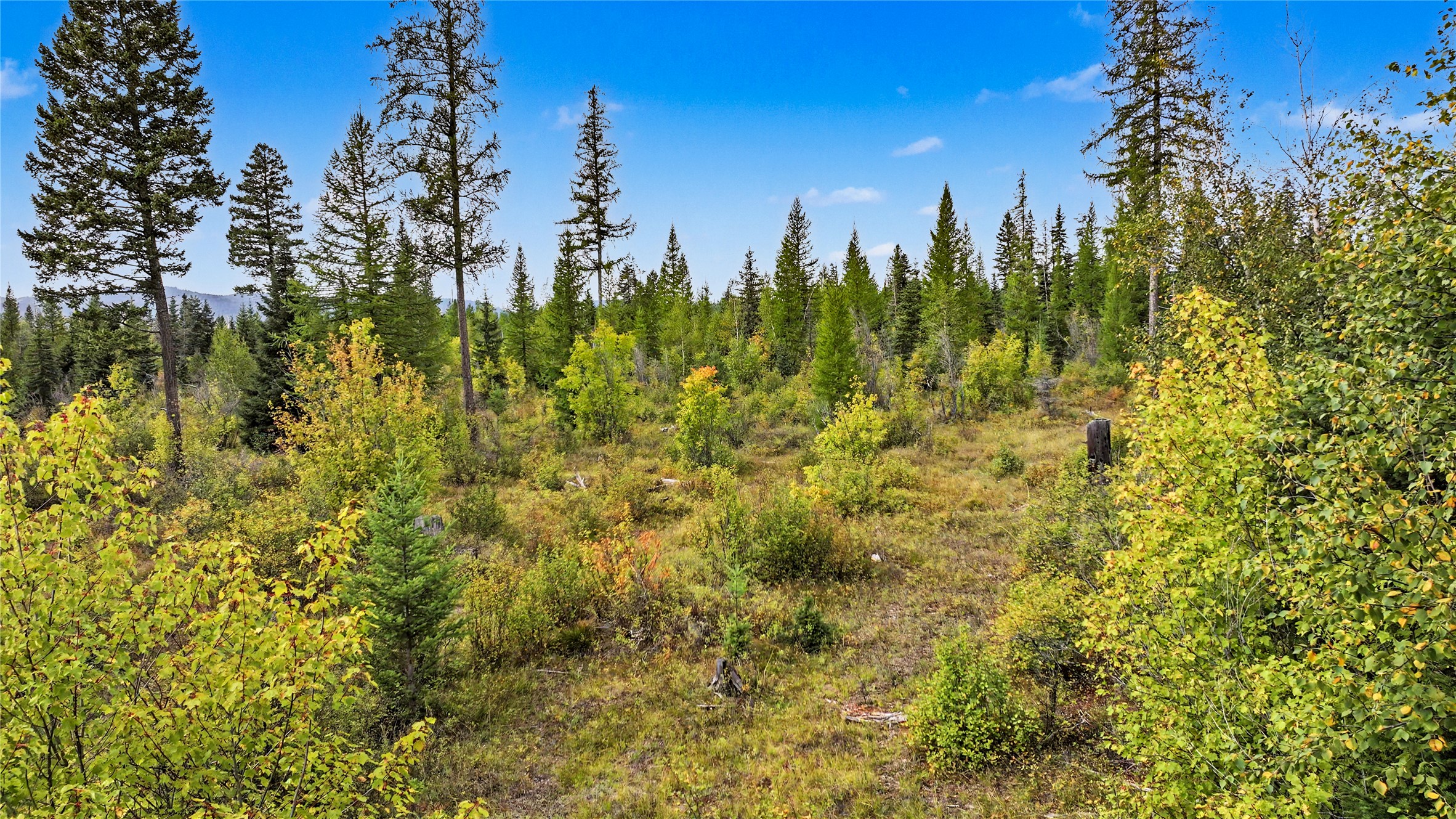 30076874 Property Photo 15