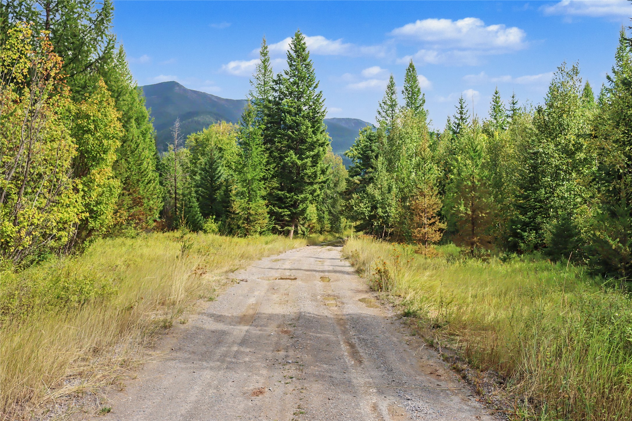30076874 Property Photo 18