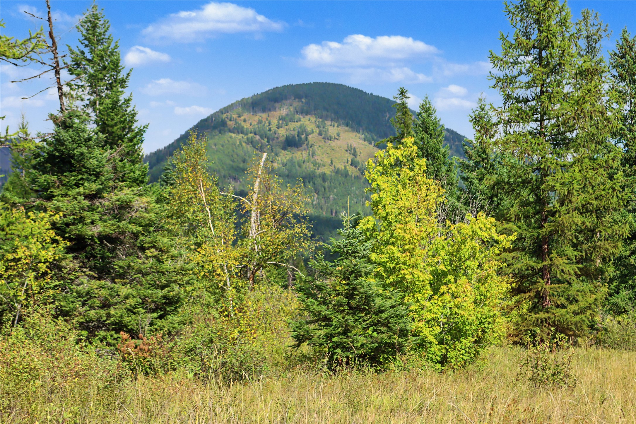 30076874 Property Photo 21