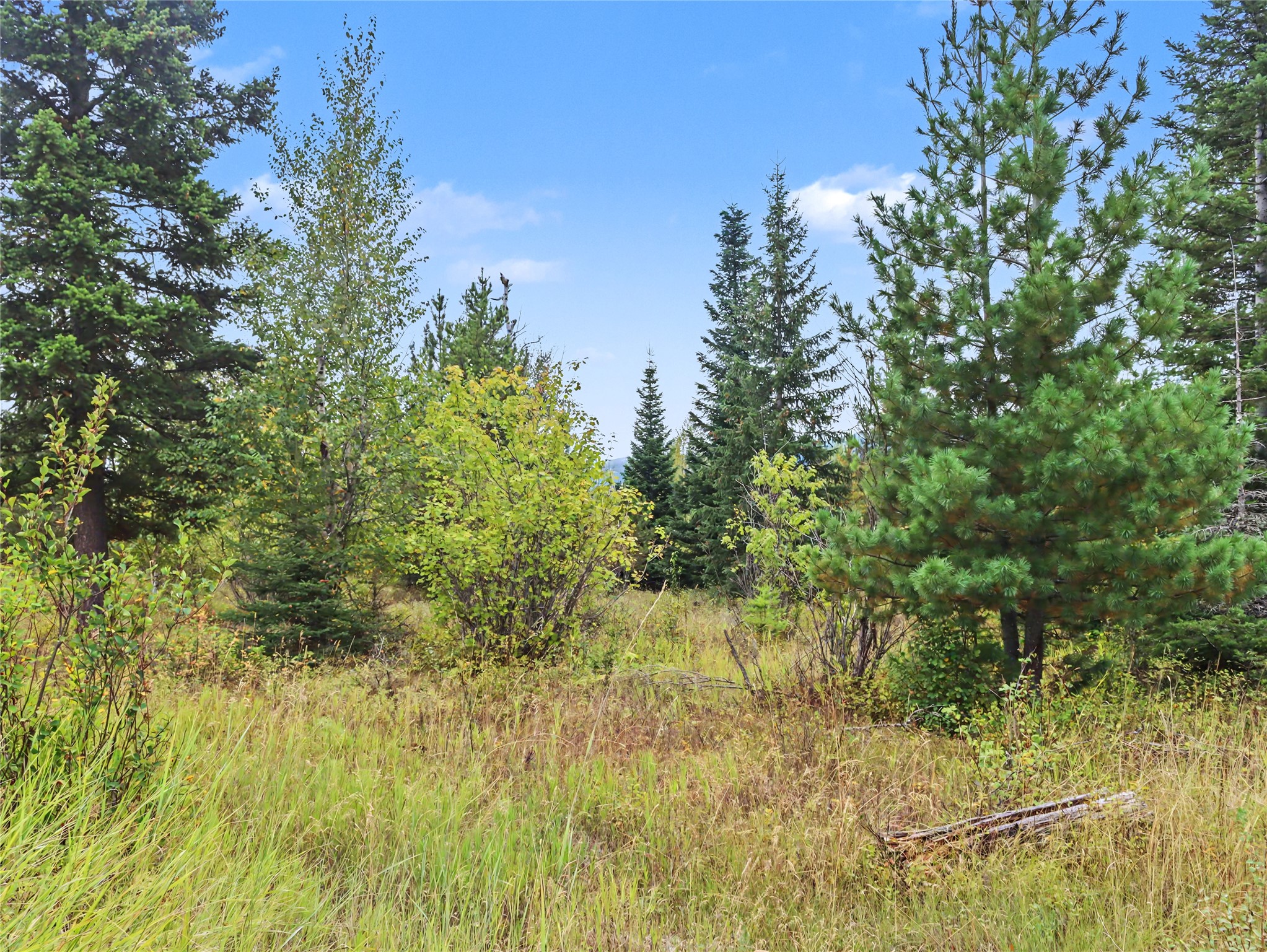 30076874 Property Photo 24