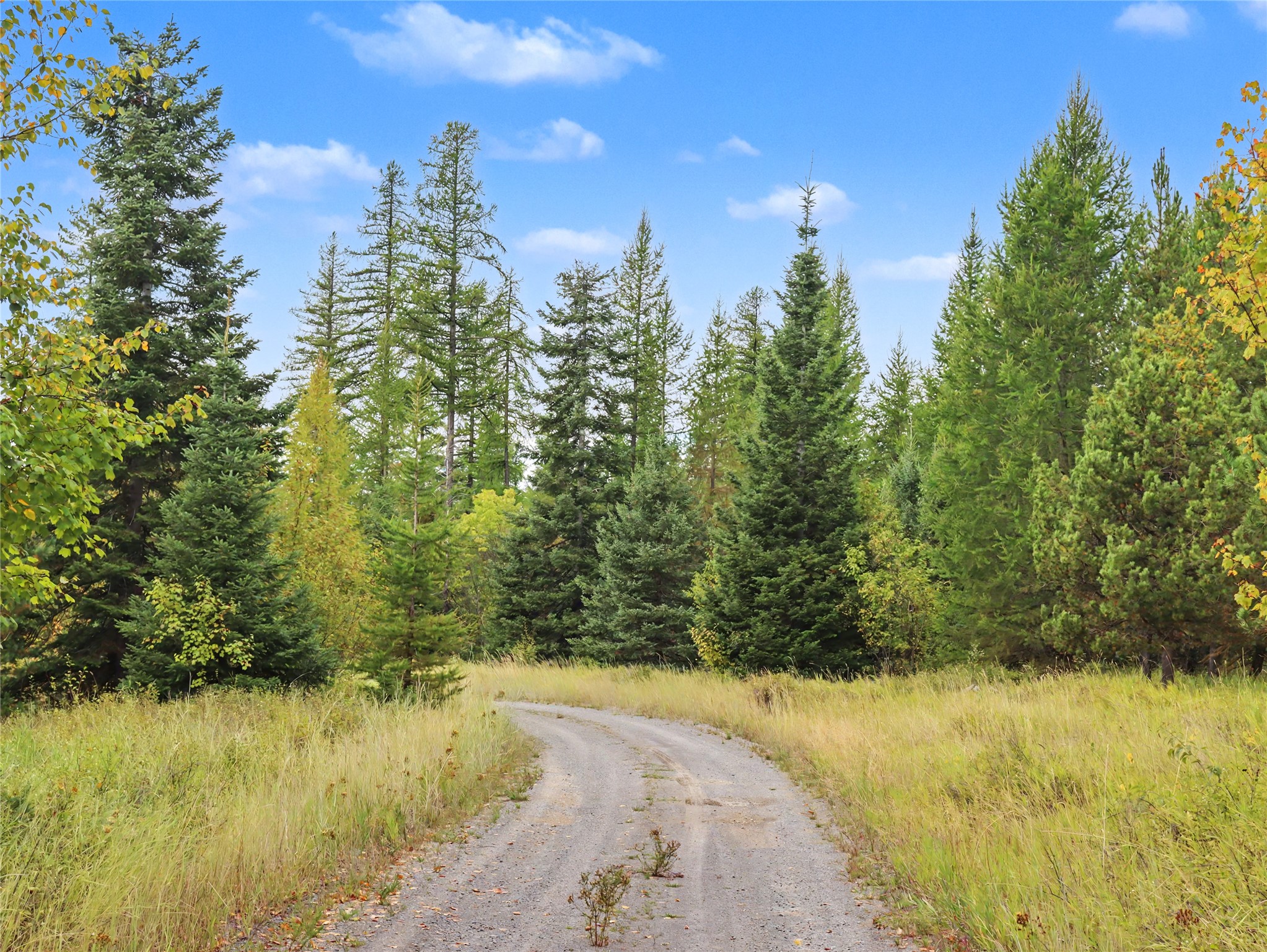 30076874 Property Photo 25