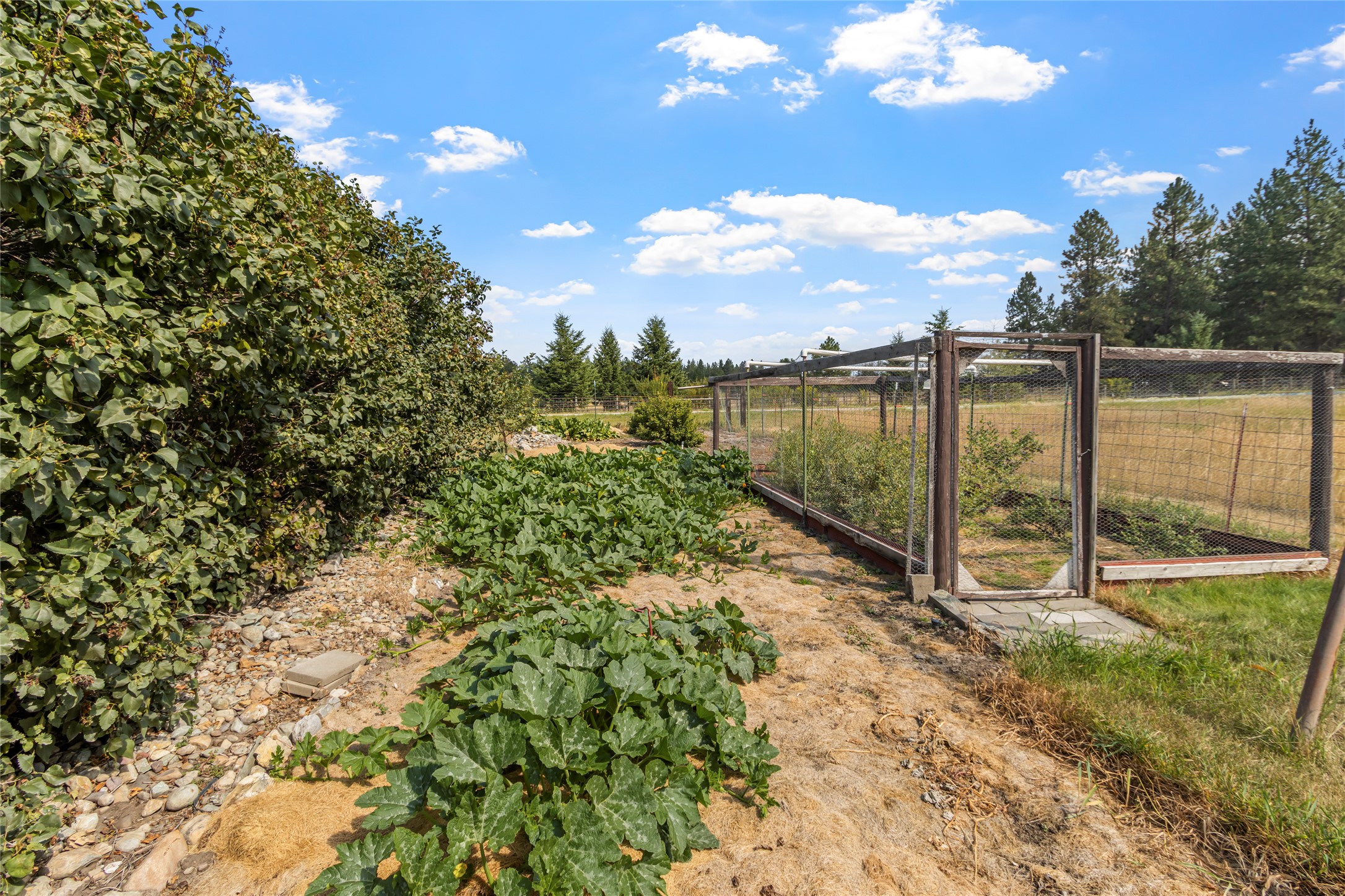 190 Mcmannamy Draw Property Photo 37