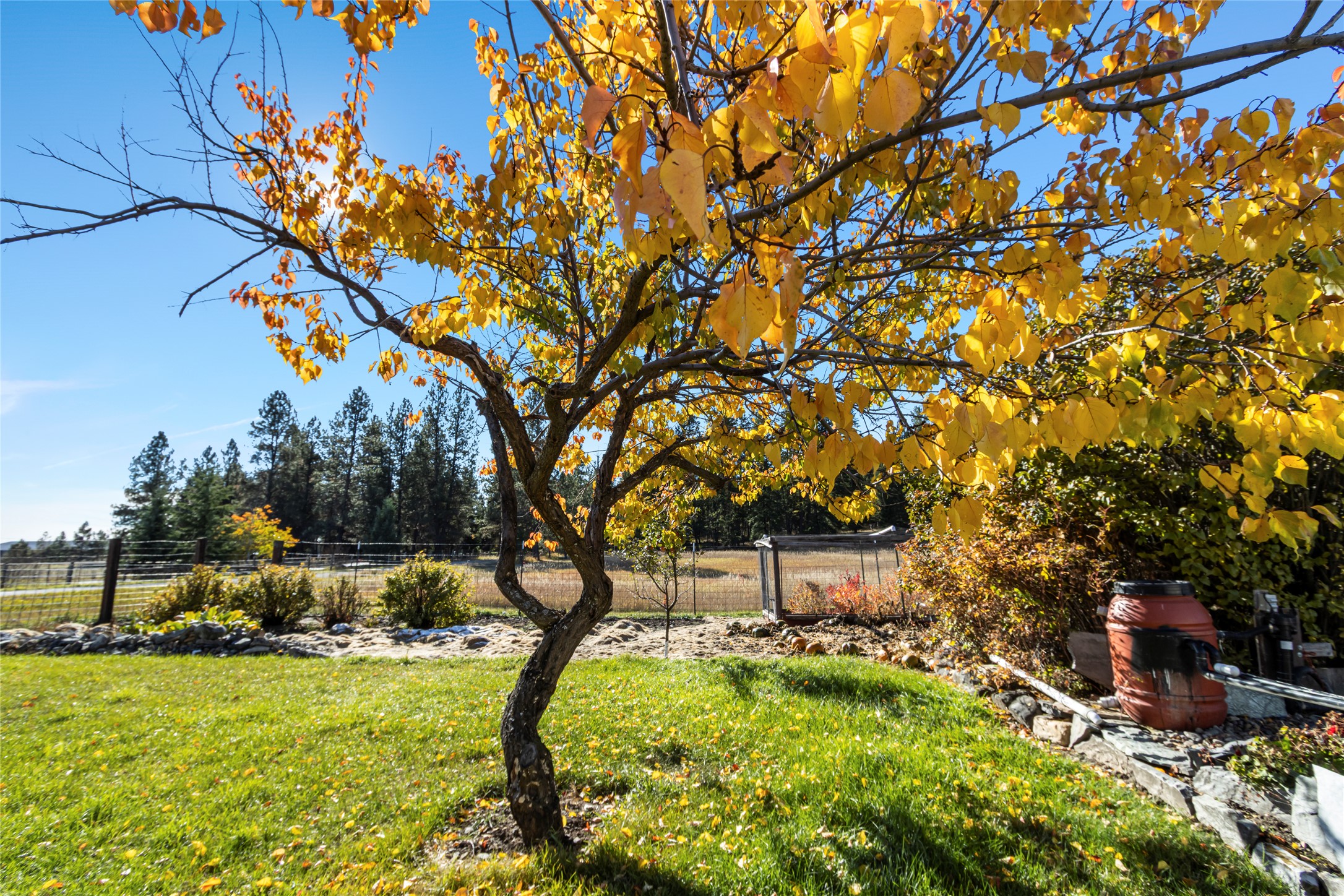 190 Mcmannamy Draw Property Photo 49
