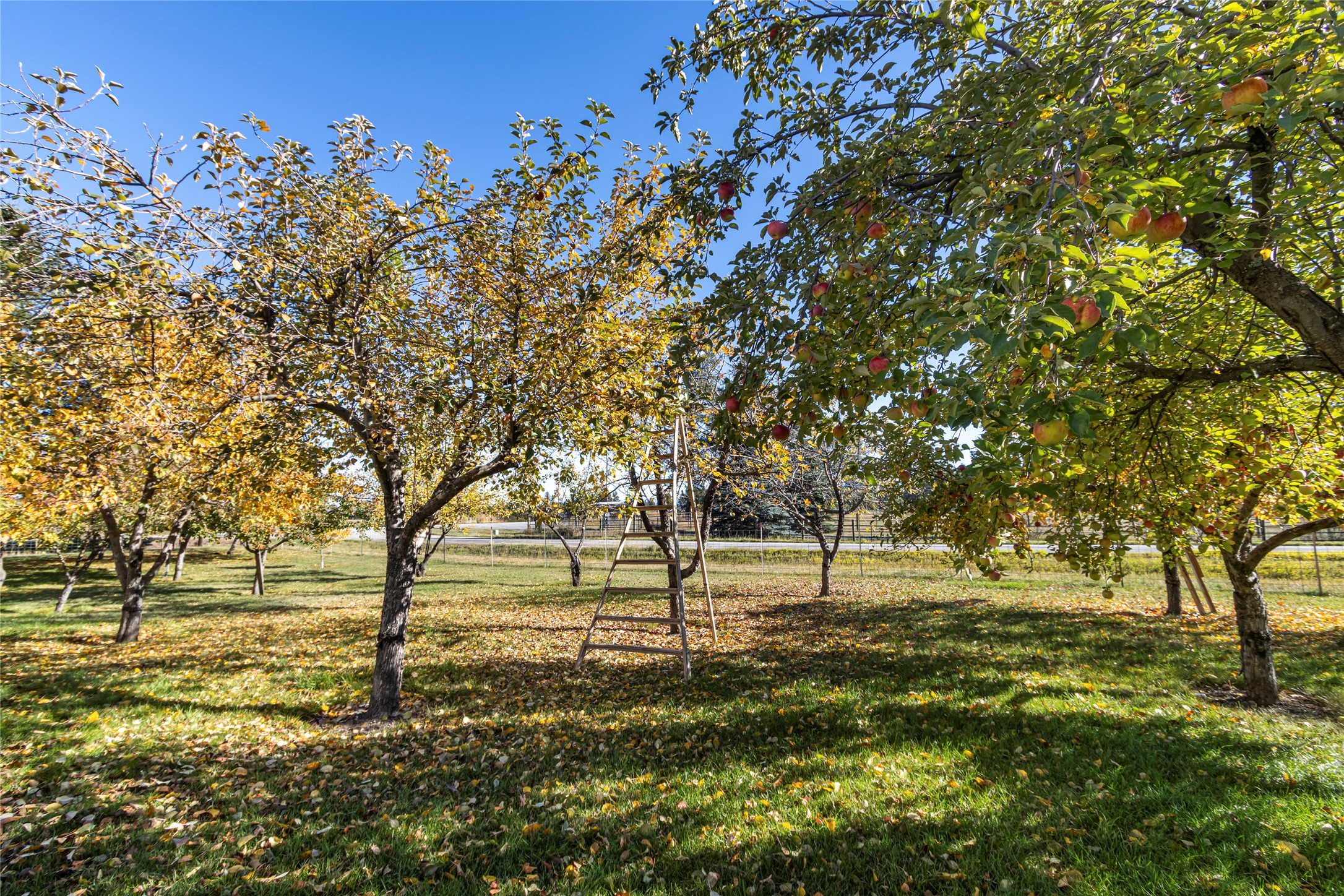 190 Mcmannamy Draw Property Photo 50