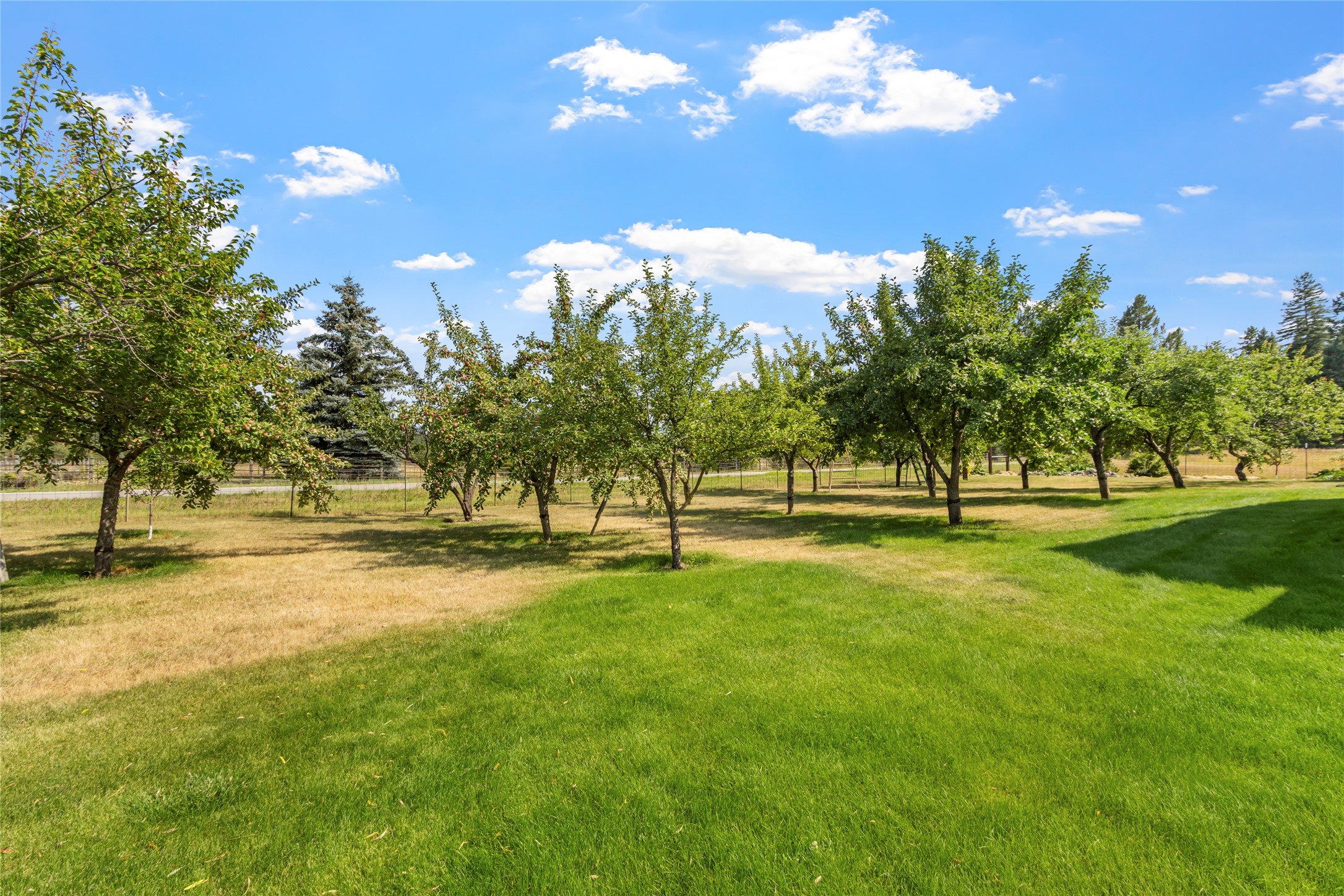 190 Mcmannamy Draw Property Photo 57