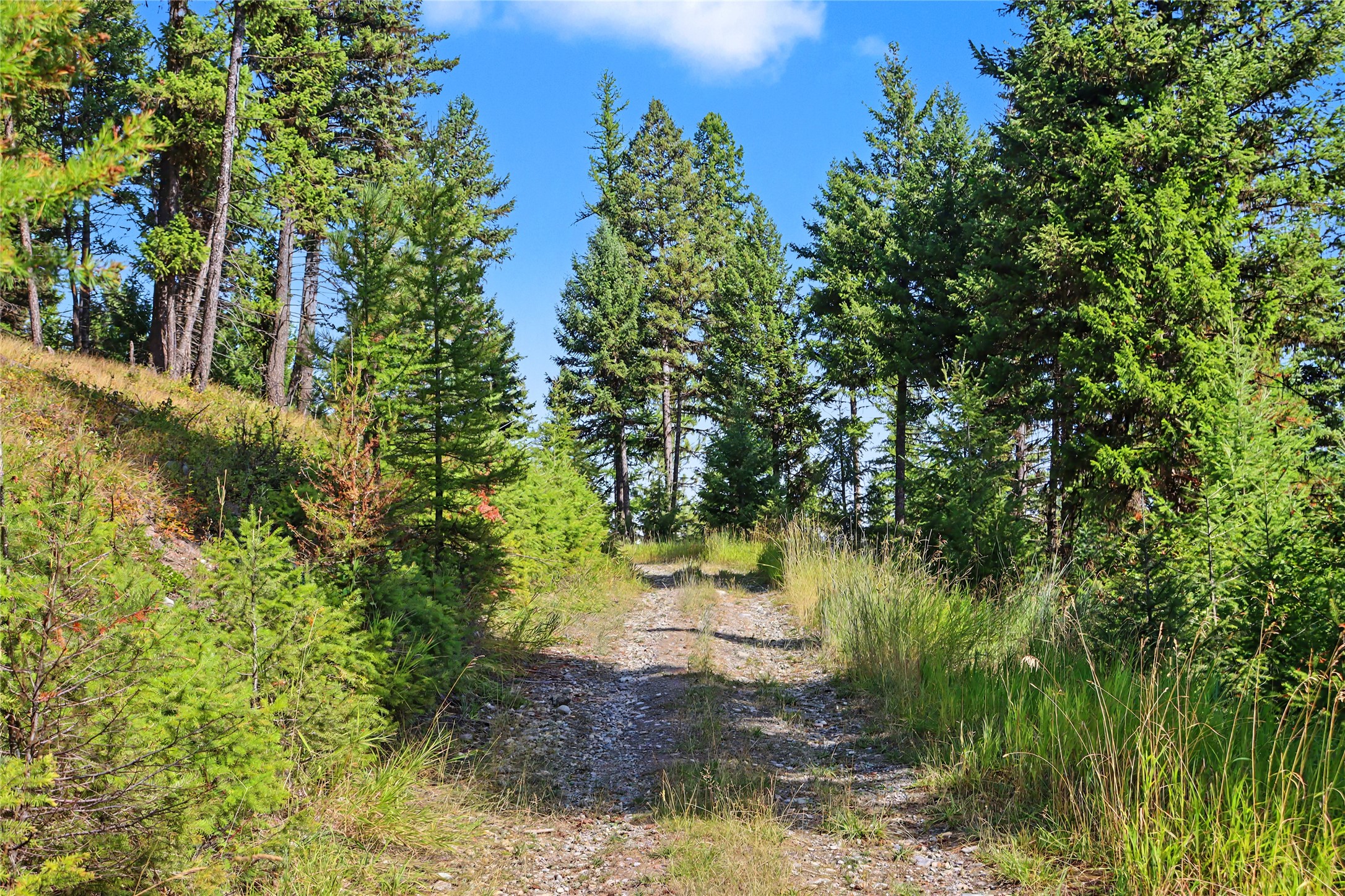 30076877 Property Photo 12