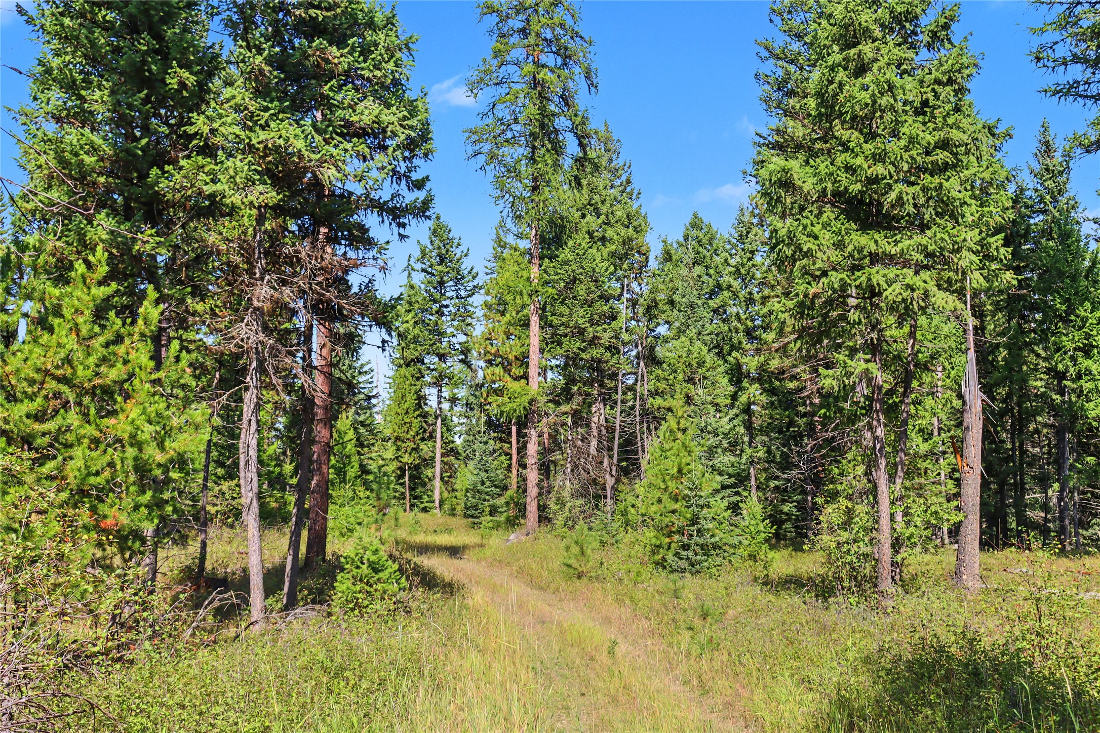 30076877 Property Photo 13