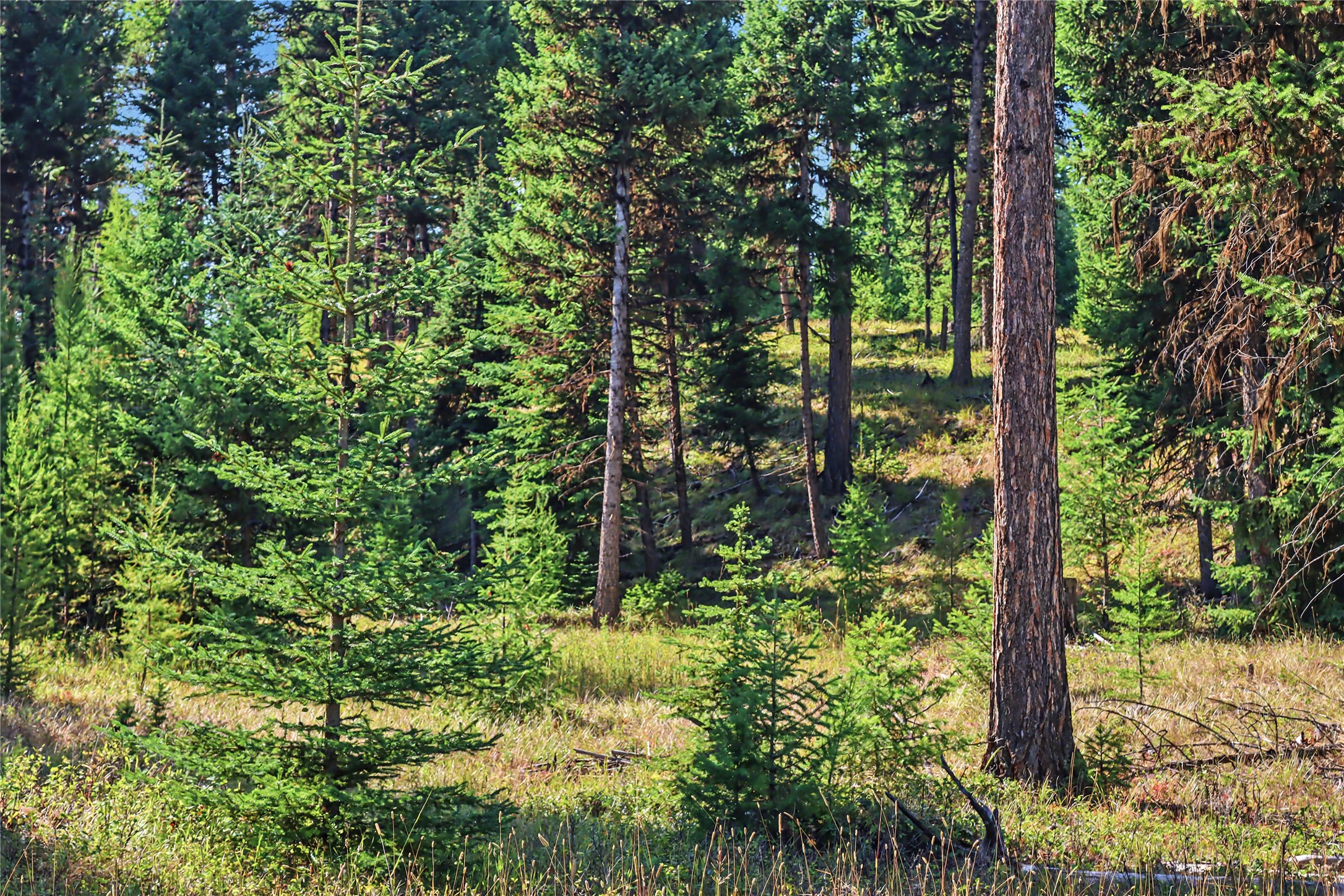 30076877 Property Photo 15