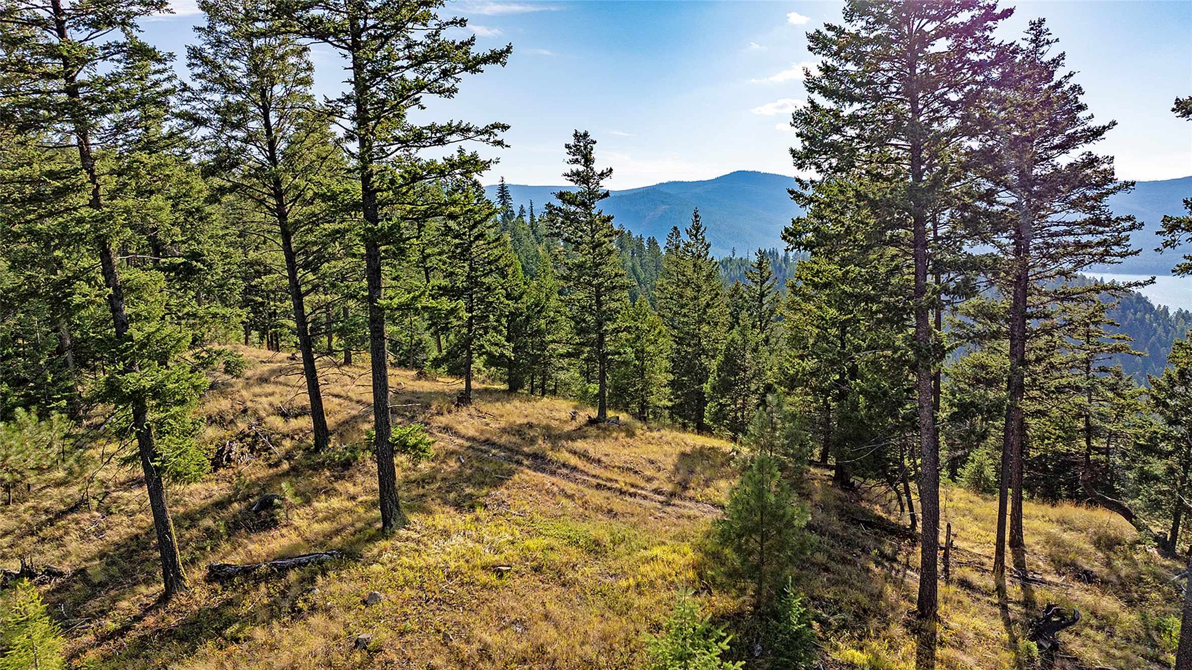 30076879 Property Photo 11