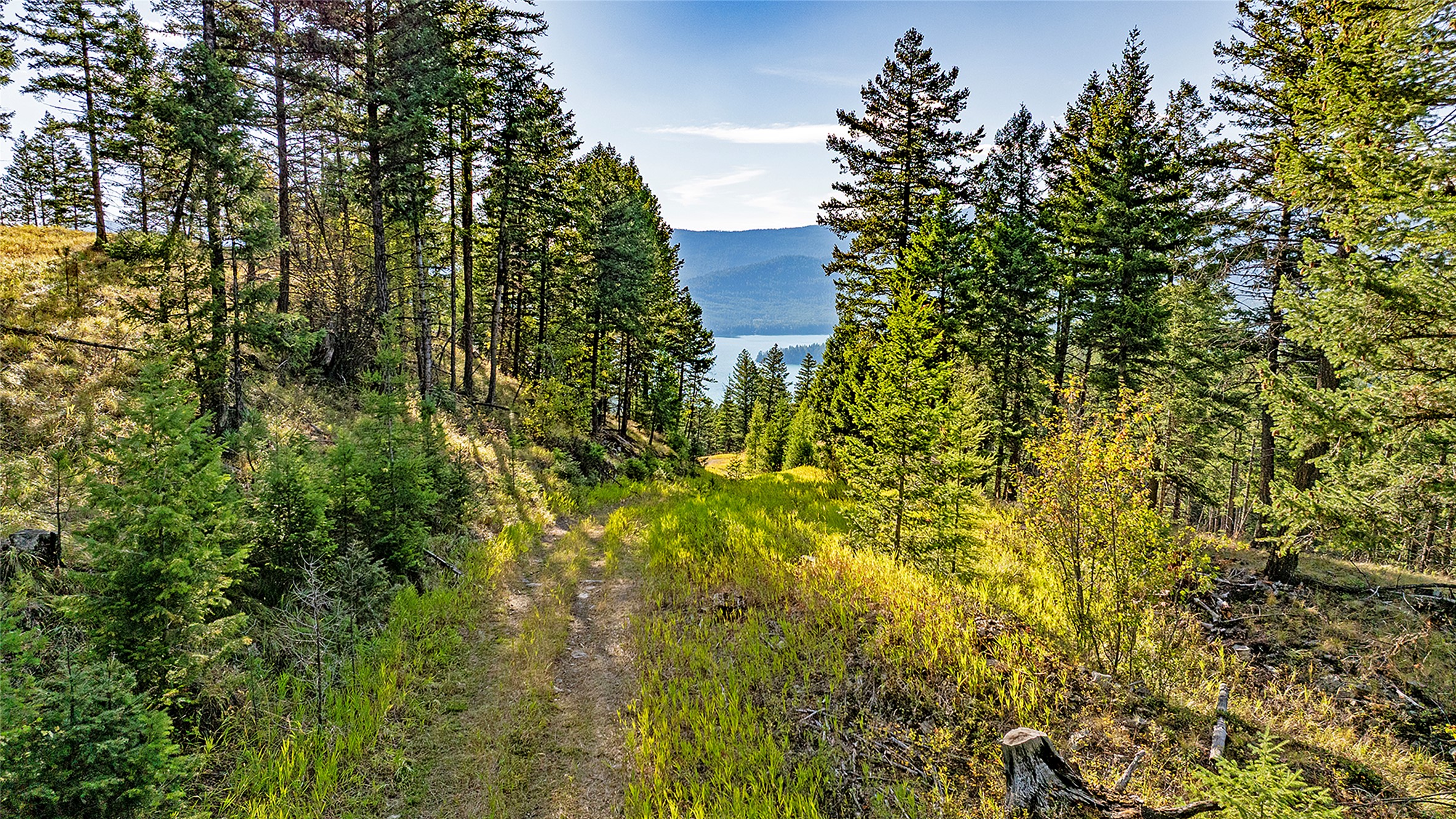 30076879 Property Photo 13