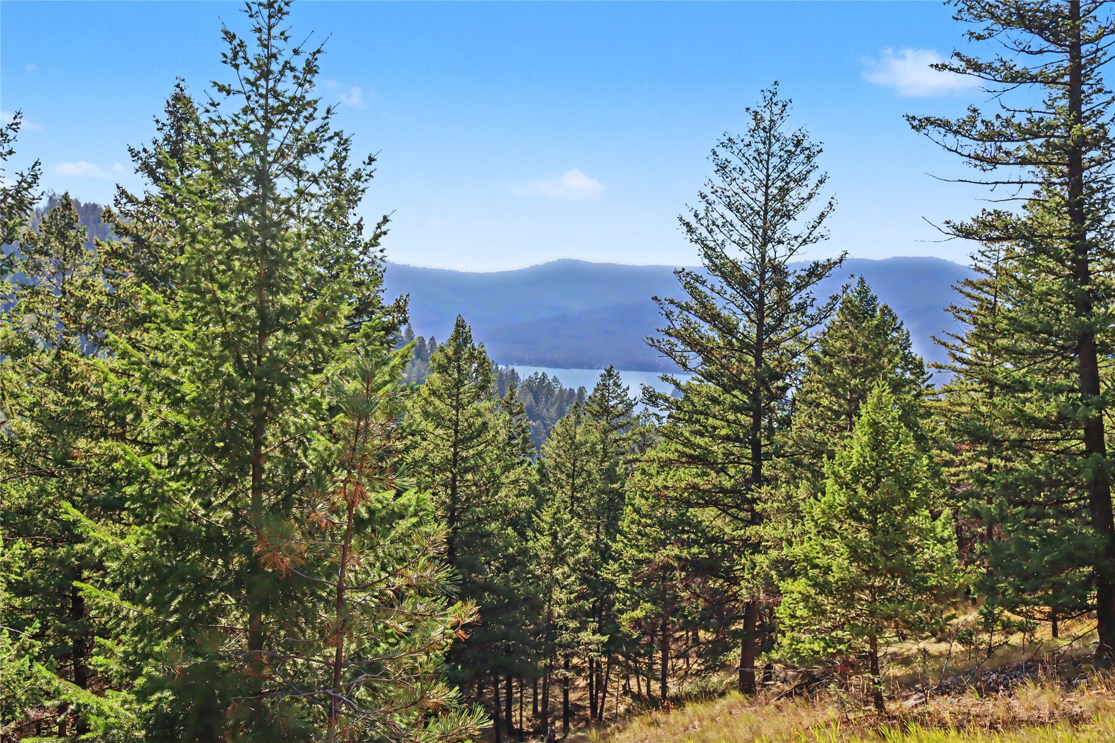 30076879 Property Photo 21