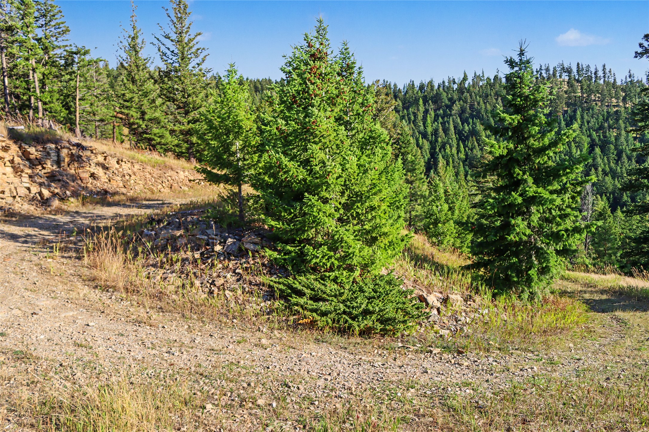 30076879 Property Photo 26