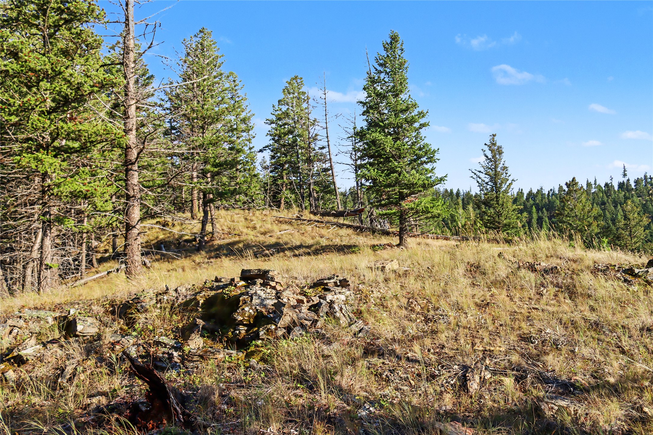 30076879 Property Photo 27