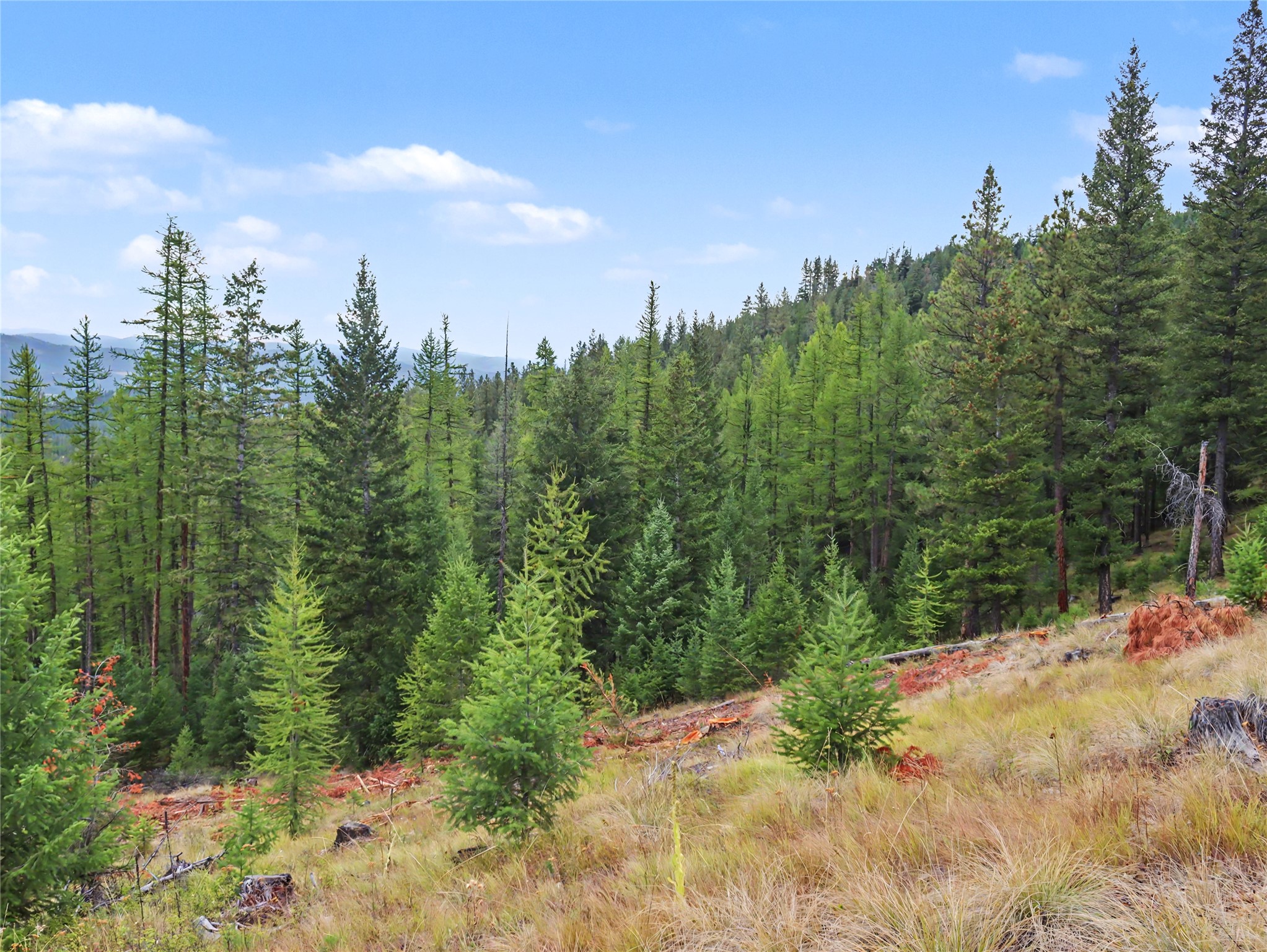 30076880 Property Photo 8