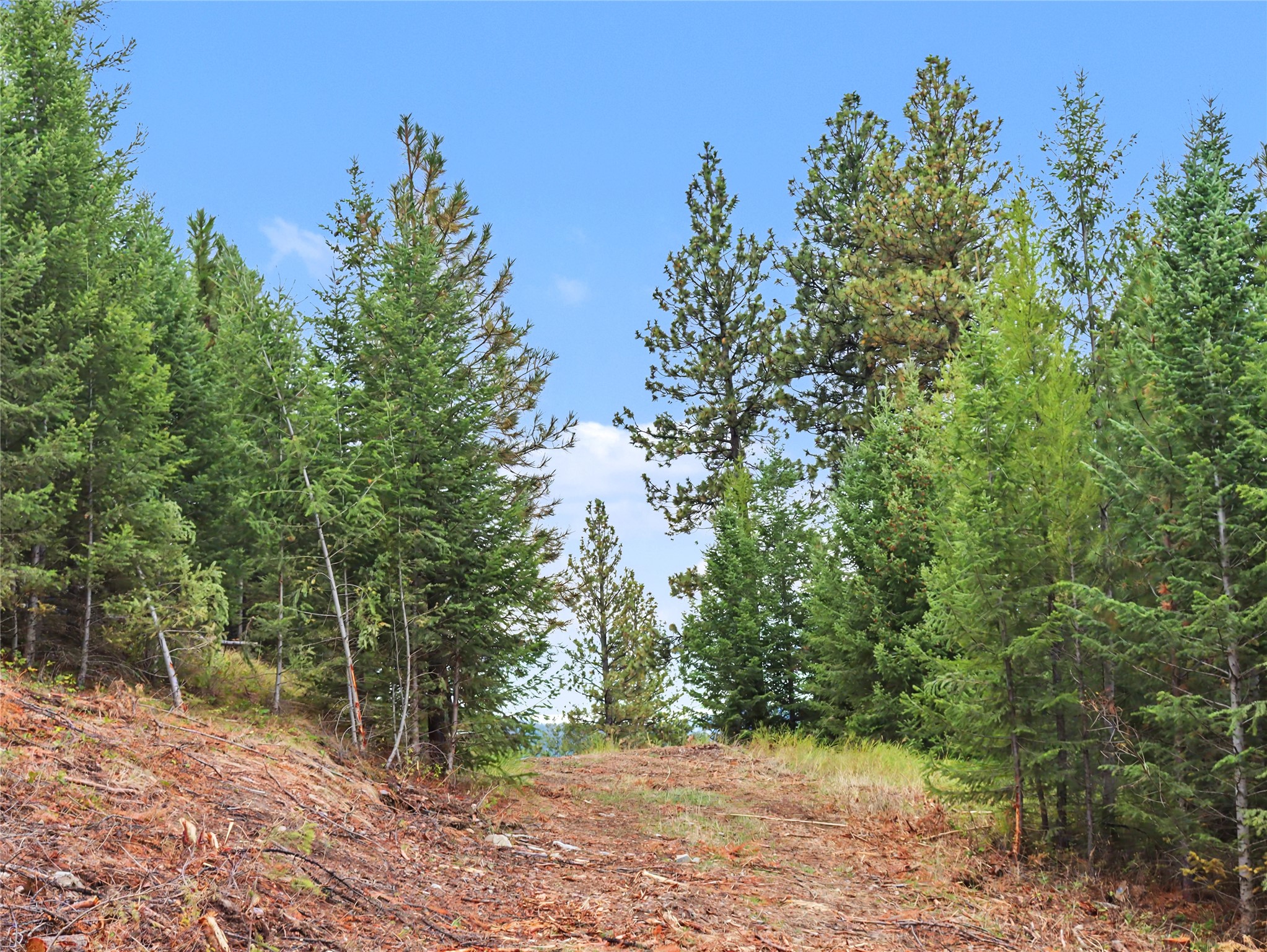 30076880 Property Photo 10