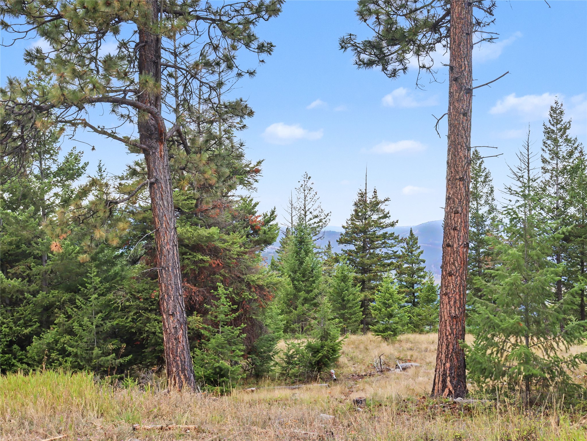 30076880 Property Photo 11