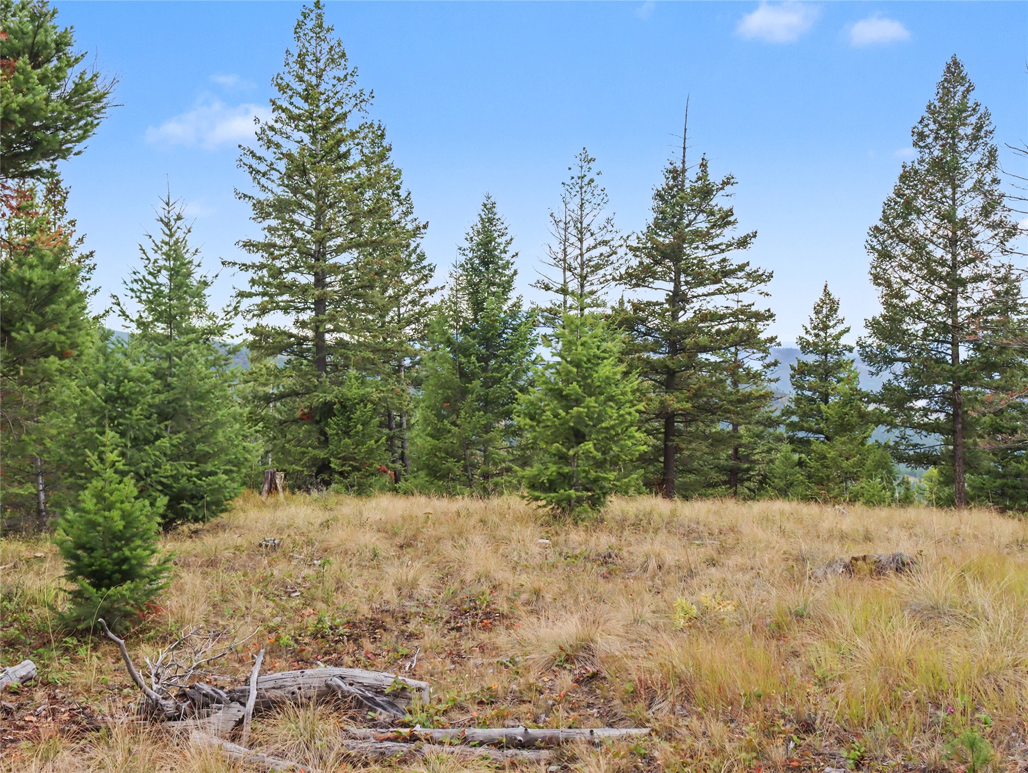 30076880 Property Photo 12